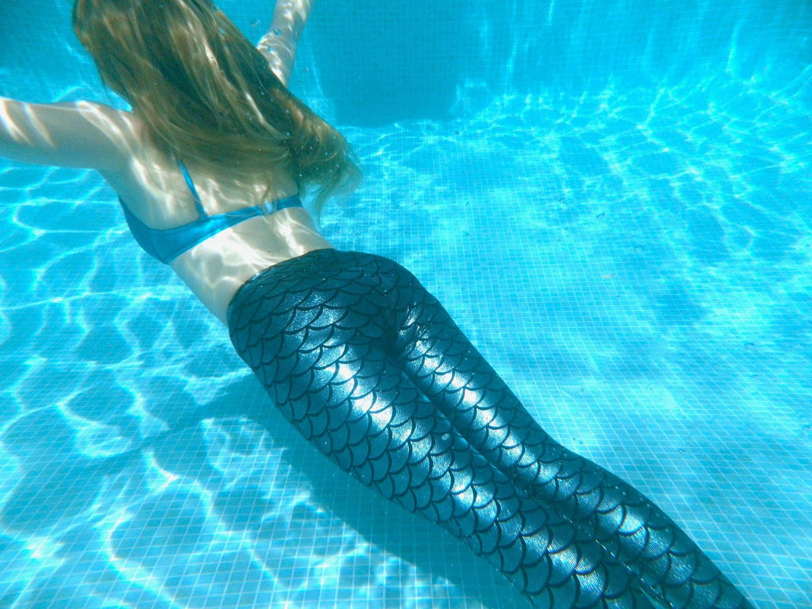 Real Mermaid 桌布 壁紙 — 一位擁有美人魚尾巴的女性在陽光照射的藍色瓷磚泳池中優雅地在水下游泳。