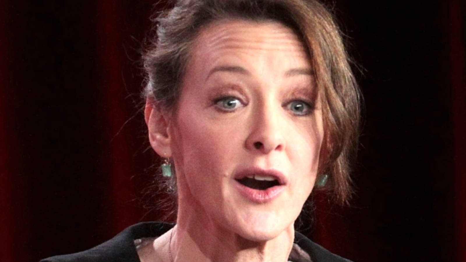 Celebrity 桌布 壁紙 — 一位擁有藍色眼睛和棕色頭髮的女性，在深紅色窗簾背景下熱情地說話。
