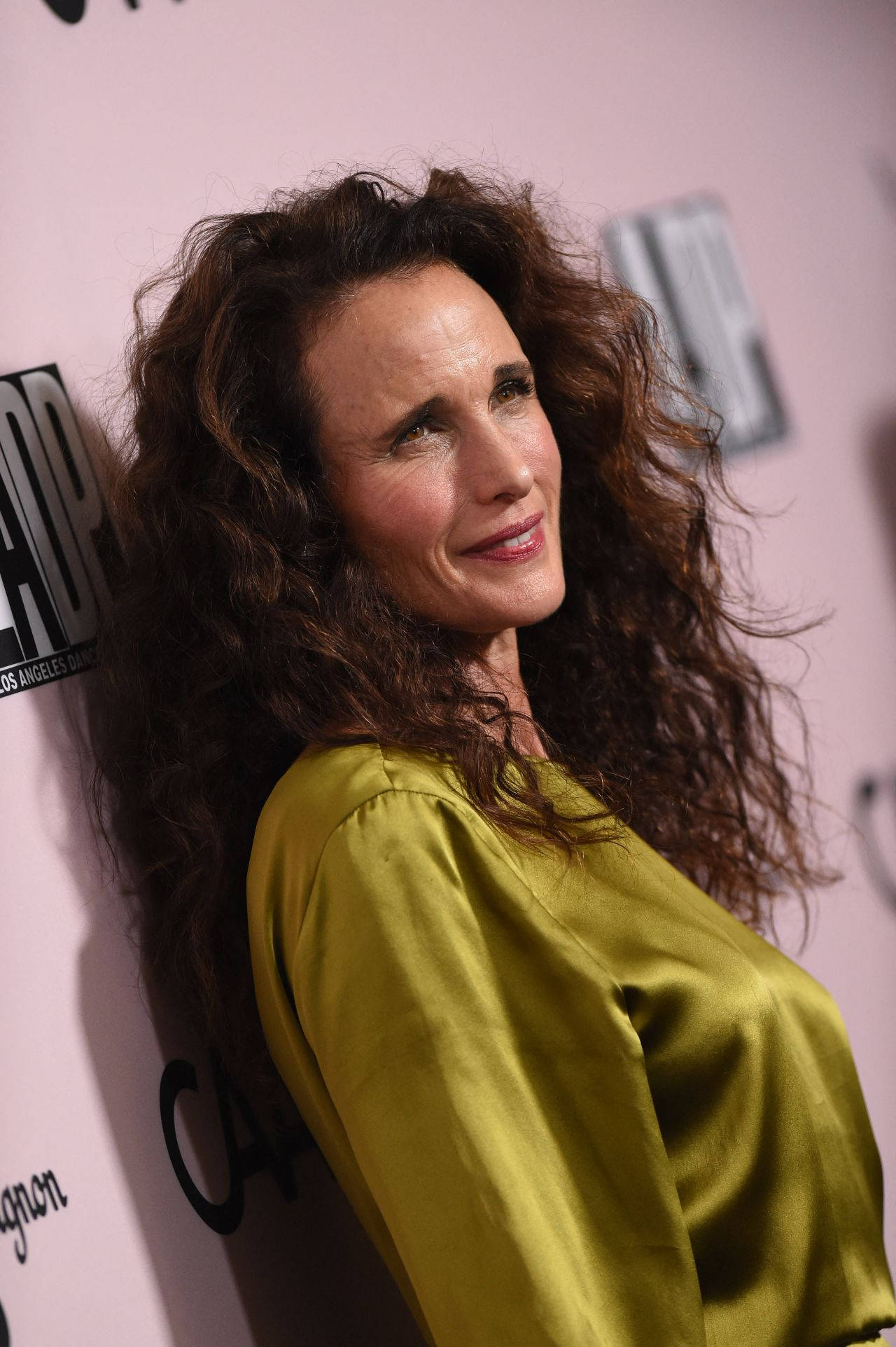 andie macdowell 桌布 壁紙 — 一位擁有豐盈棕色捲髮的女性，穿著閃亮的橄欖綠色襯衫，在帶有標誌的粉紅色背景前溫柔微笑。