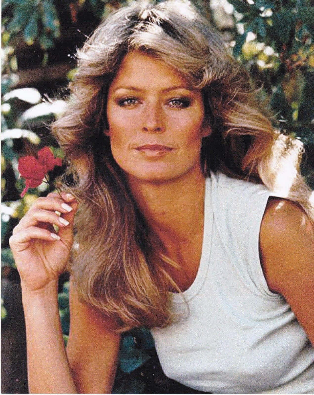 Farrah Fawcett 桌布 壁紙 — 一位擁有豐盈金髮的女性在茂密的綠葉中手持紅花，溫柔地凝視鏡頭。