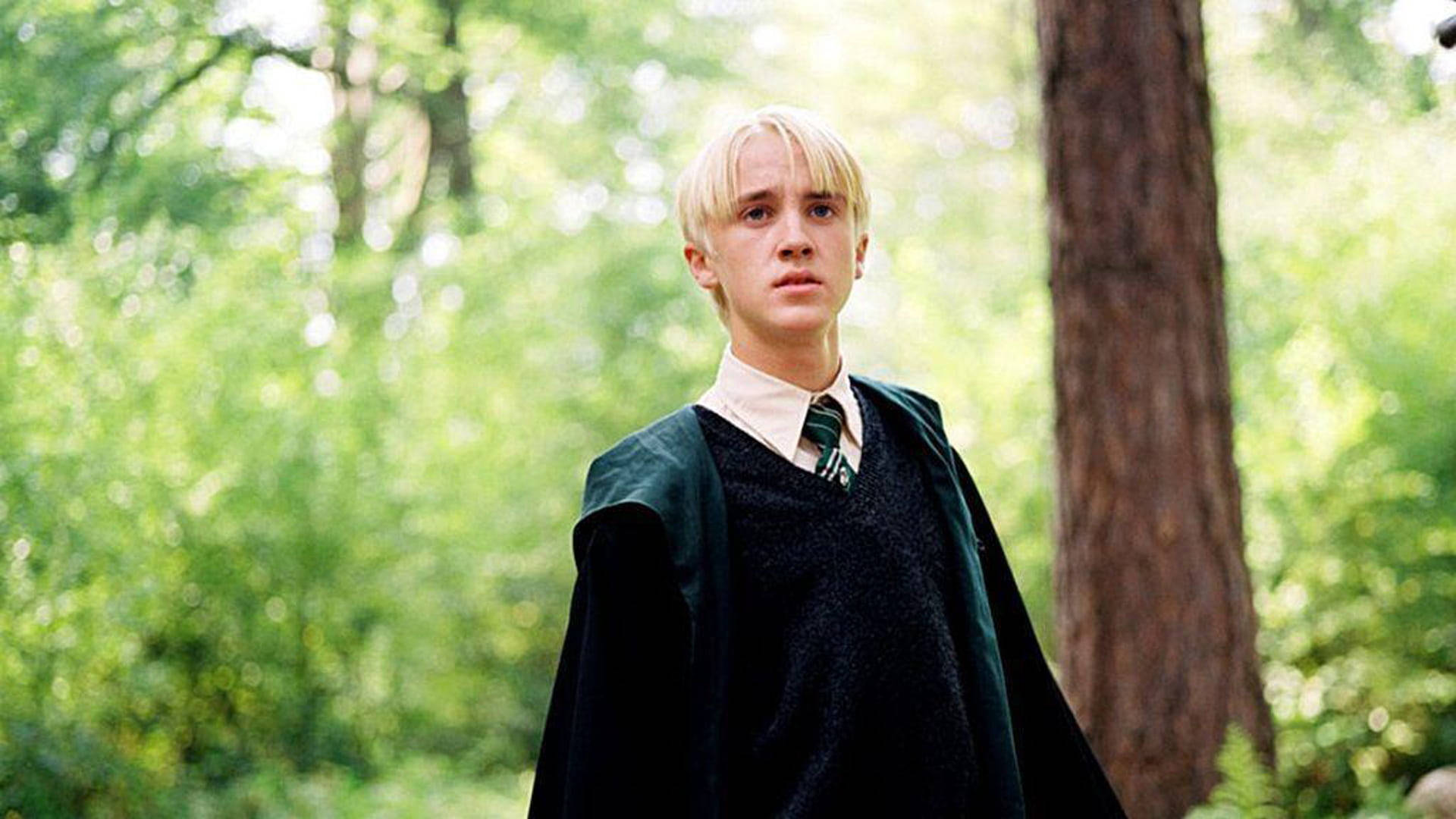 draco 桌布 壁紙 — 一位擁有鉑金色頭髮的年輕男子穿著史萊哲林長袍，莊嚴地站在陽光斑駁、綠葉點綴的森林中。