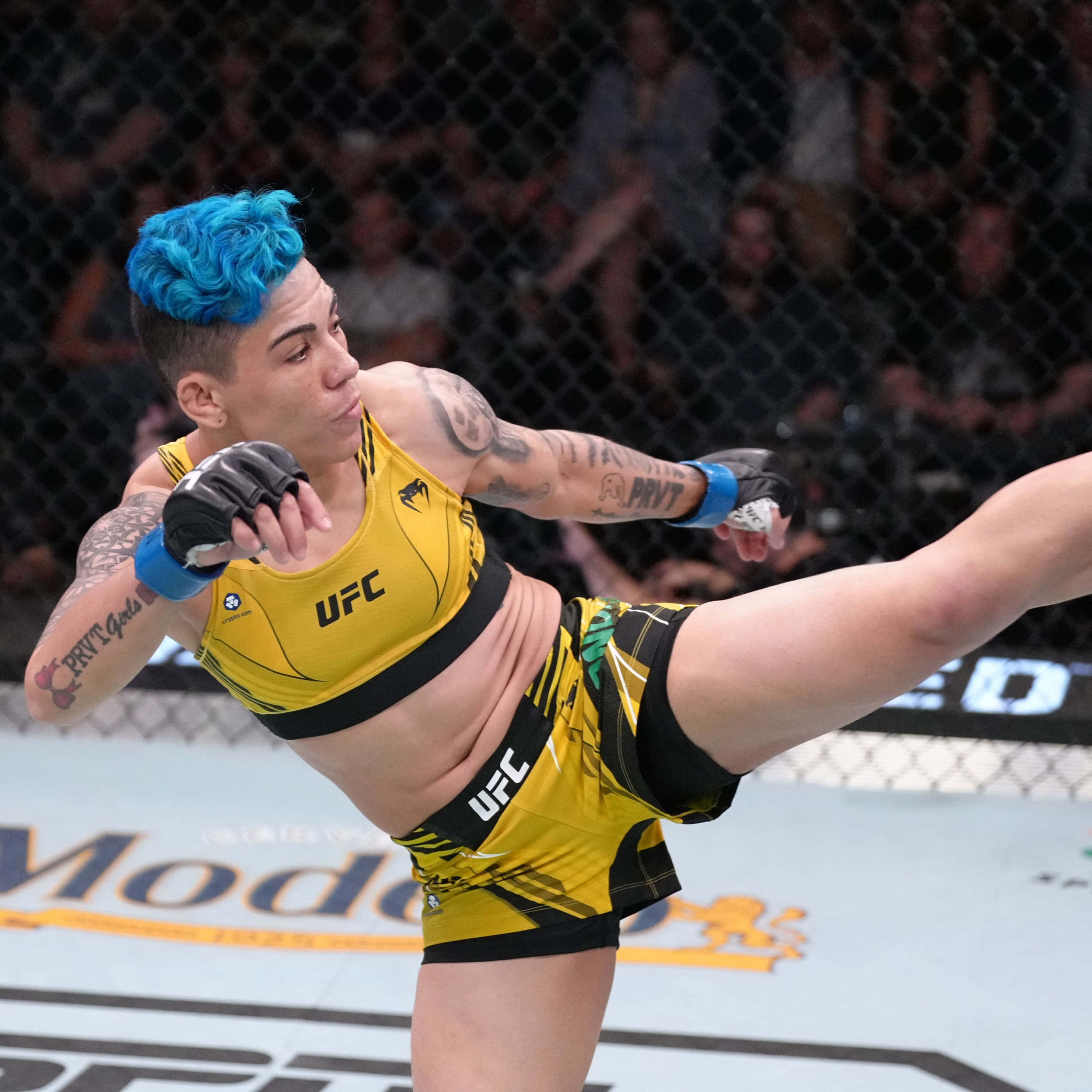 UFC 桌布 壁紙 — 一位擁有鮮豔藍色頭髮的女性UFC拳手在八角籠內執行高踢，身後是模糊的人群。