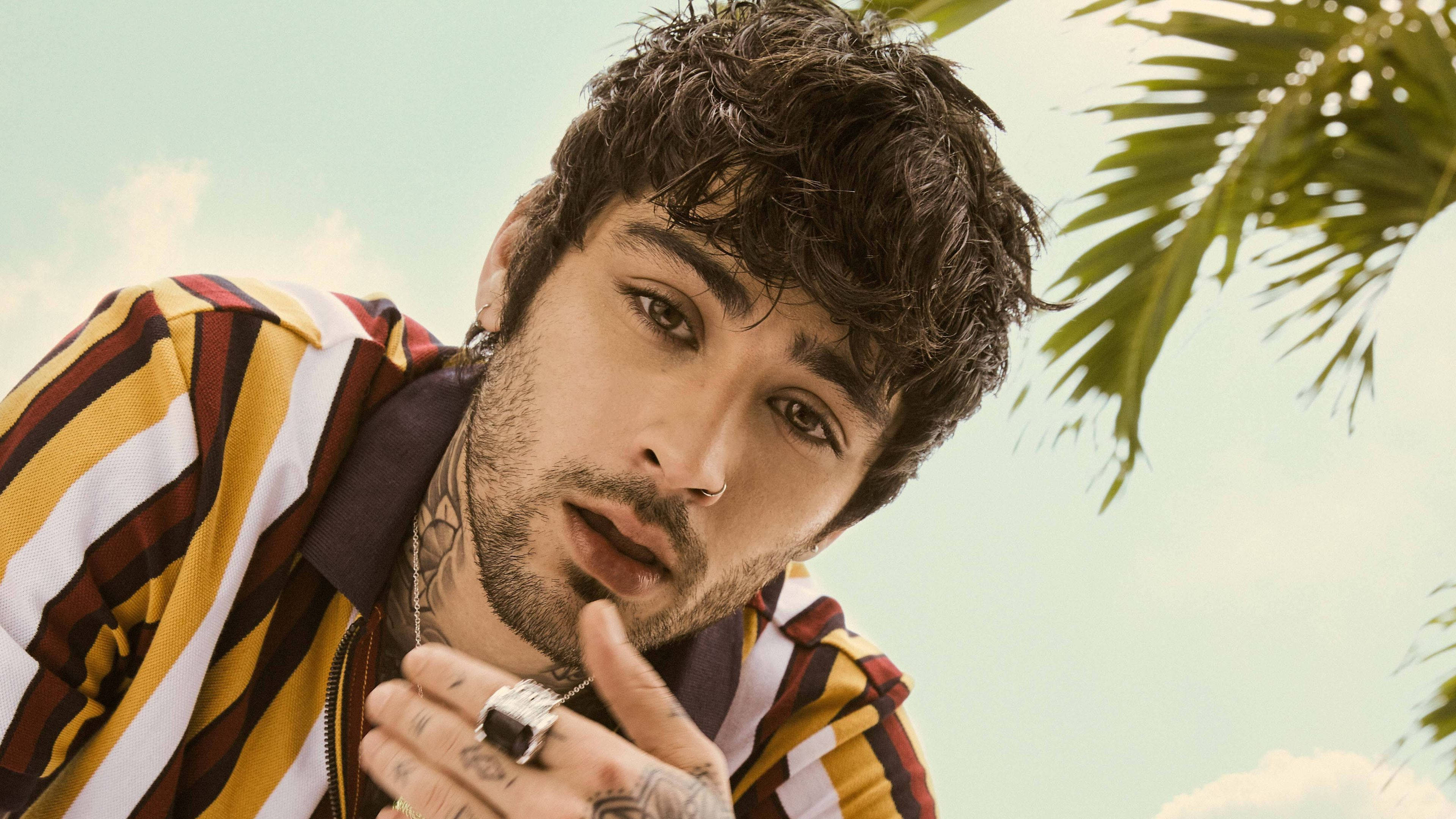 zayn 桌布 壁紙 — 一位有刺青、身穿條紋襯衫的年輕男子在棕櫚樹下，以柔和天空為背景擺姿勢。