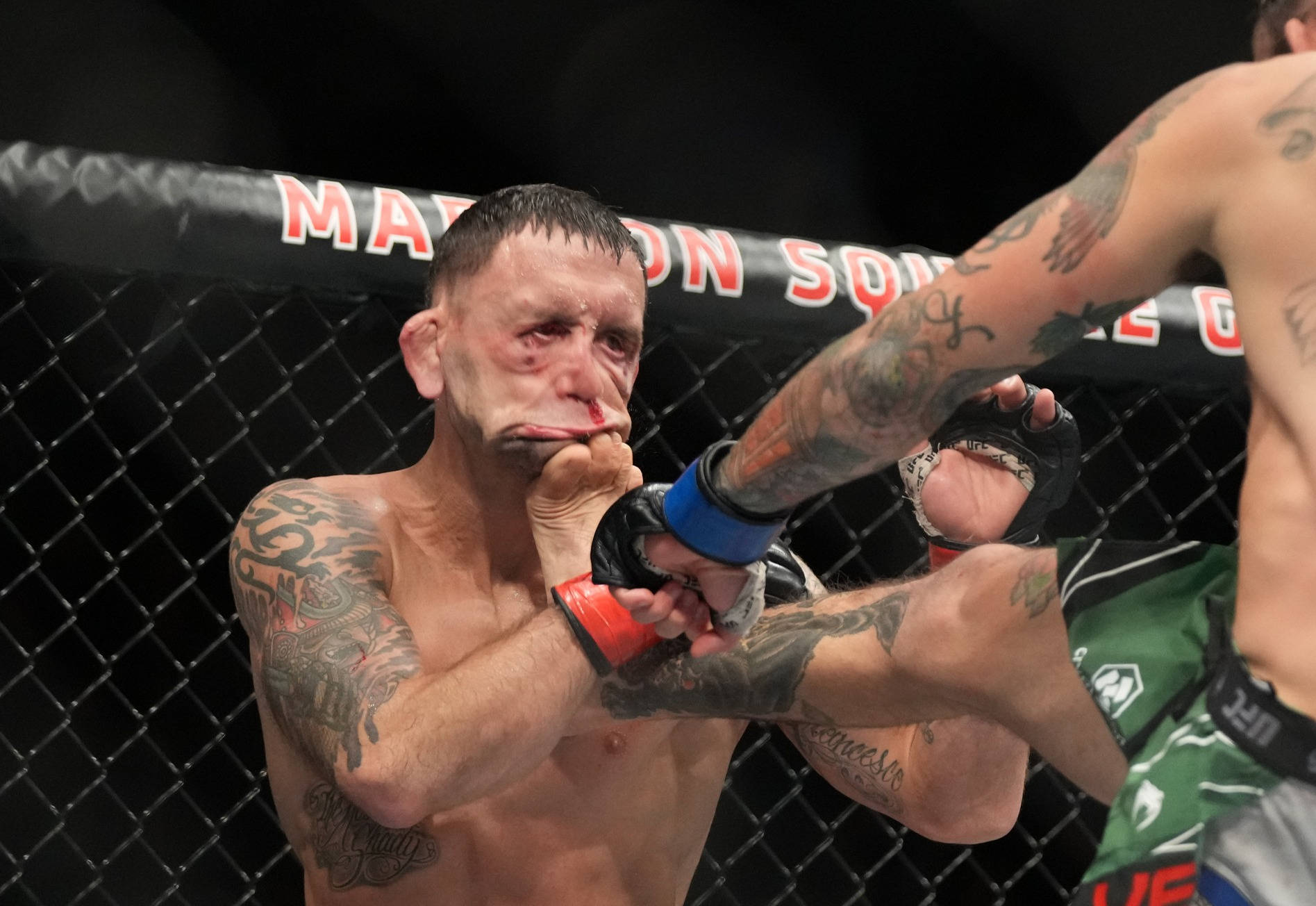 UFC 桌布 壁紙 — 一位有刺青的MMA拳手在八角籠內阻擋拳擊時痛苦地扭曲表情。