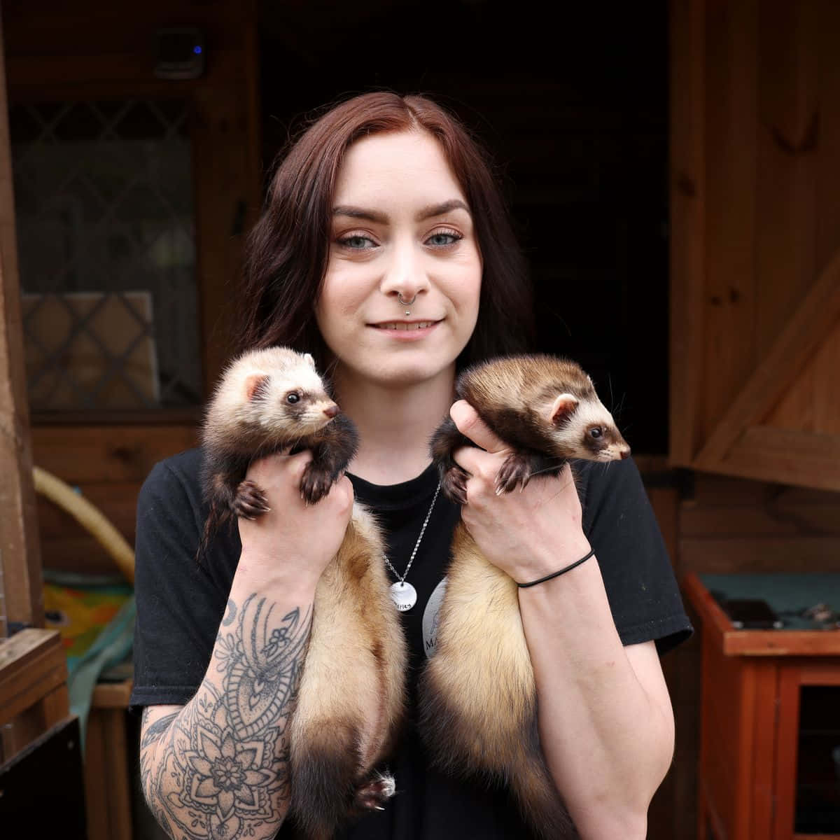 Ferret 桌布 壁紙 — 一位有刺青的女士微笑著，在木結構背景前抱著兩隻小雪貂。