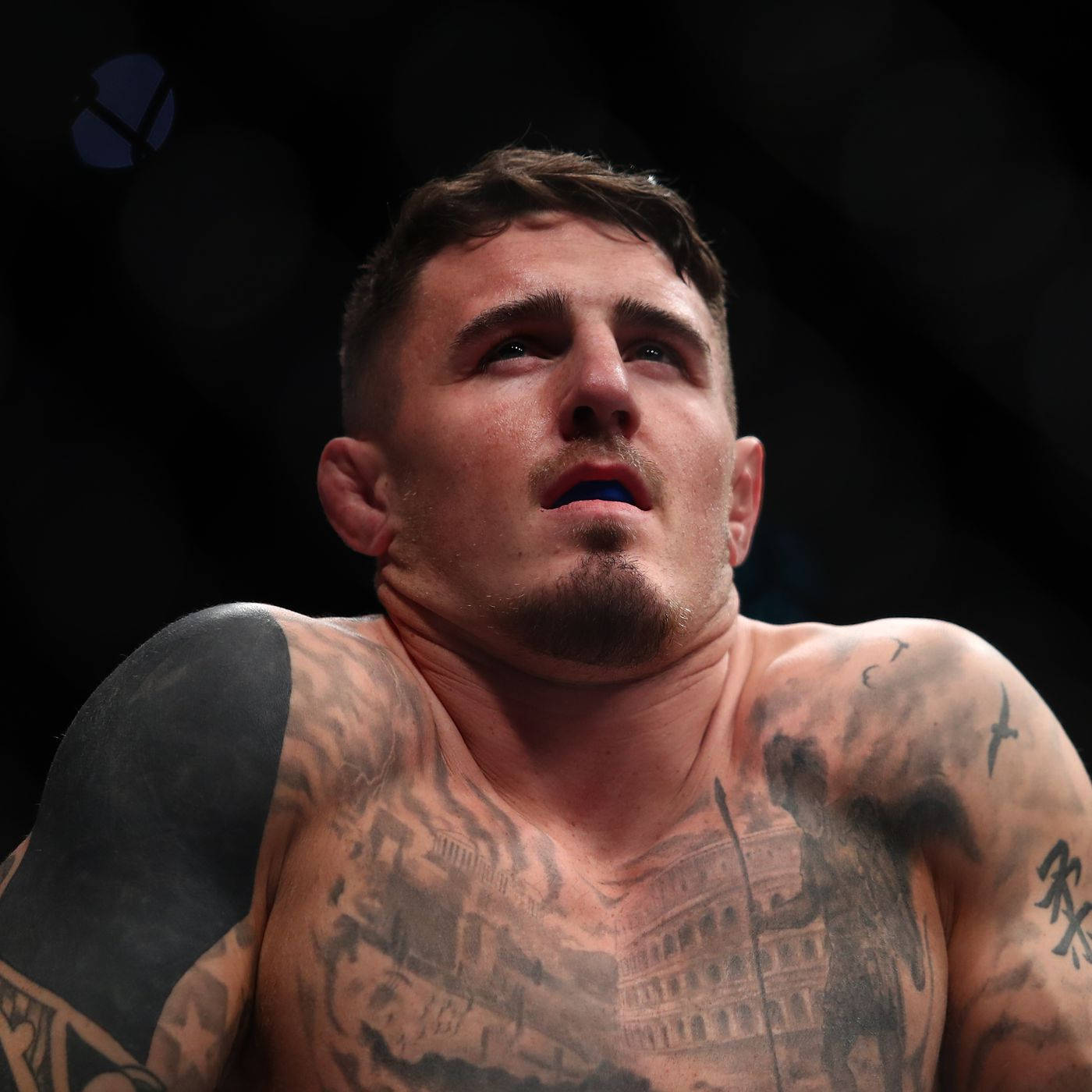UFC 桌布 壁紙 — 一位有刺青的戰士戴著藍色護齒，在昏暗的競技場中向上凝視。