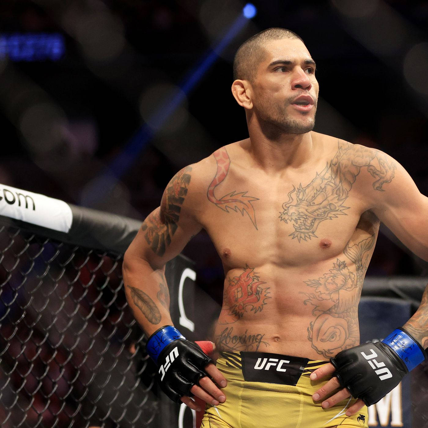 UFC 桌布 壁紙 — 一位有刺青的混合武術家站在UFC八角籠內，在場館燈光下展現專注的強度。