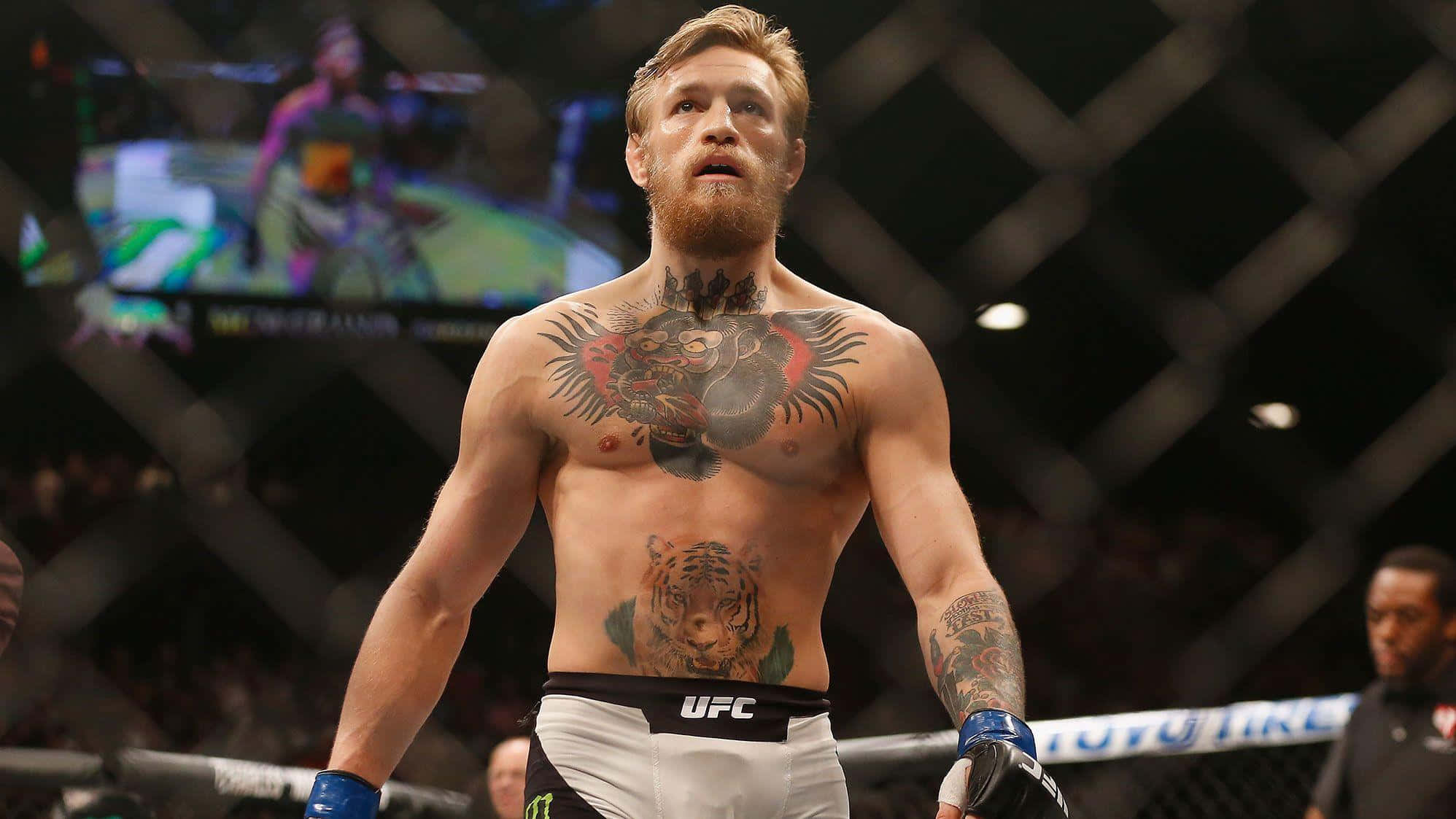 Conor Mcgregor 桌布 壁紙 — 一位有刺青的混合武術選手在場館燈光下，專注地站在UFC八角籠內。