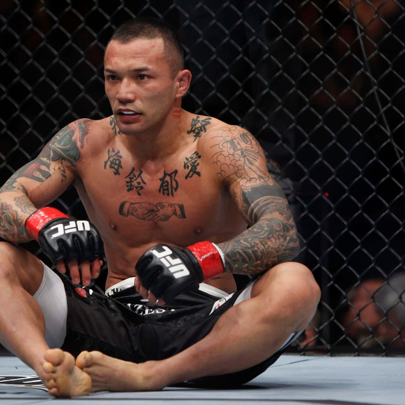 UFC 桌布 壁紙 — 一位有刺青的混合武術選手在比賽後戴著UFC手套筋疲力盡地坐在八角籠地上。