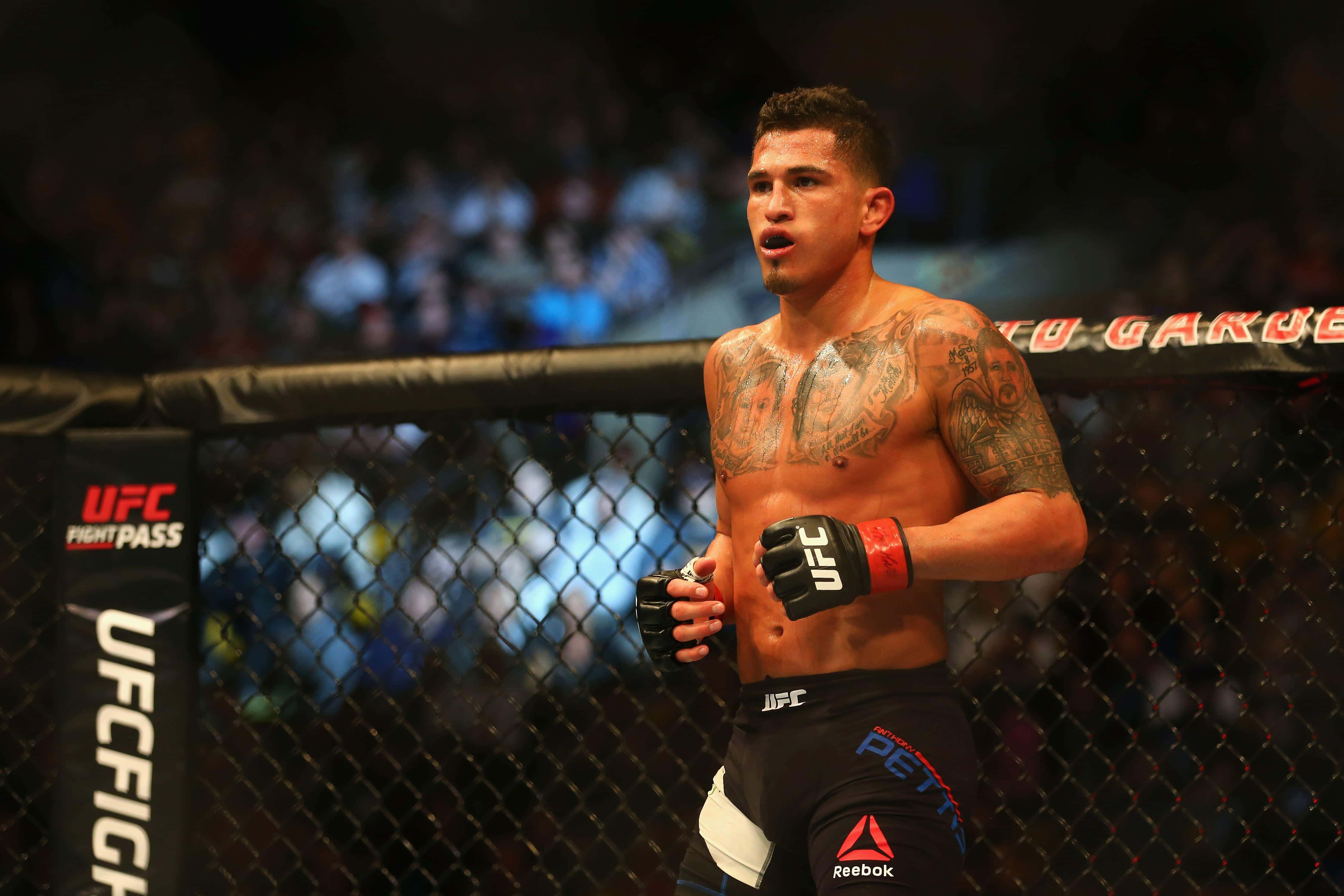 UFC 桌布 壁紙 — 一位有刺青的混合武術選手站在UFC八角籠內，戴著手套和短褲，背景人群模糊。