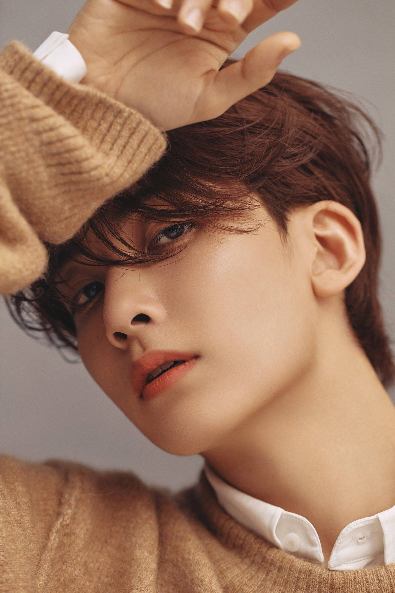 yoon jeonghan 桌布 壁紙 — 一位棕色頭髮、藍色眼睛的年輕男子，身穿米色毛衣，手放在頭上，向上凝視。