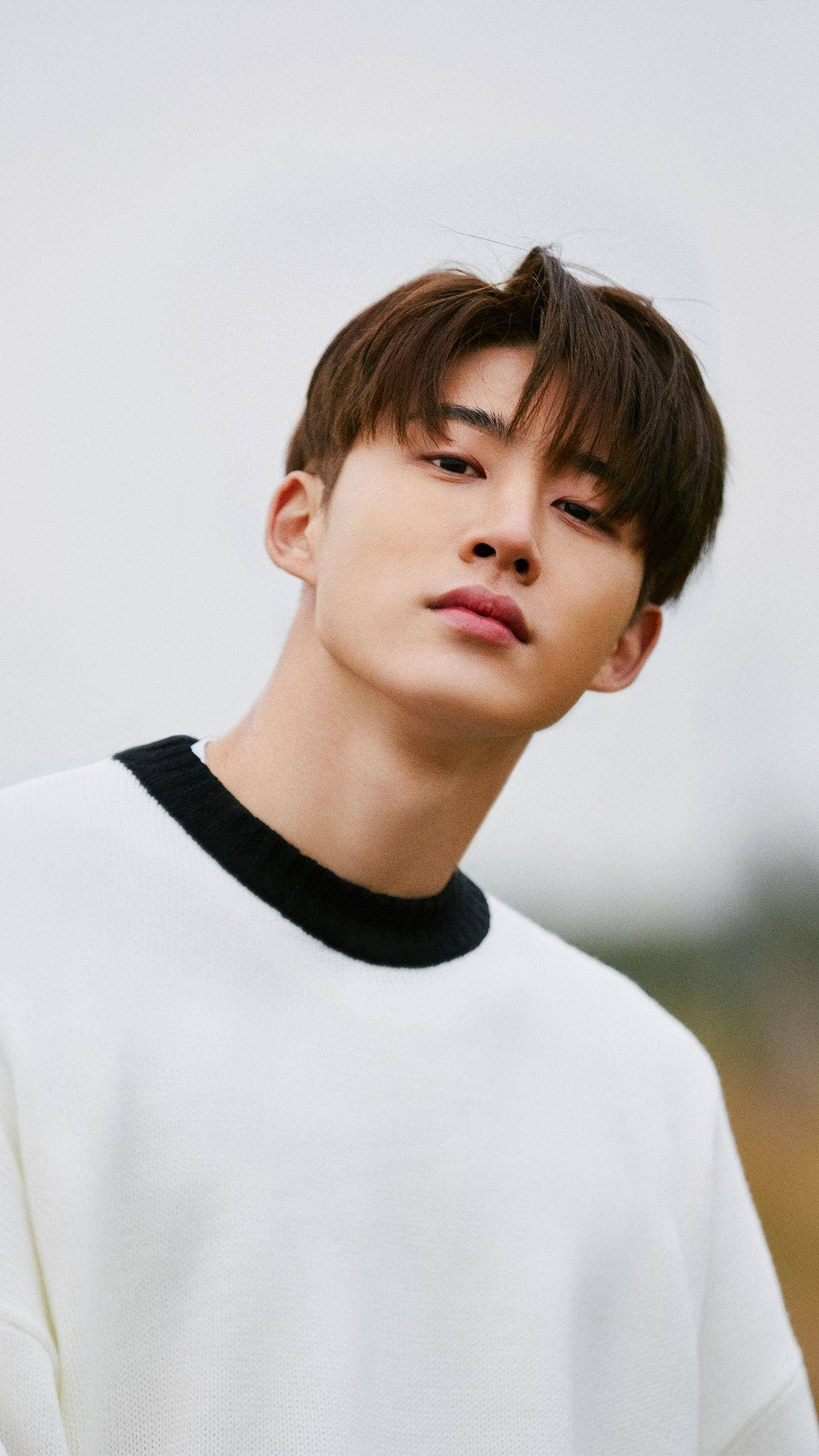 kim hanbin 桌布 壁紙 — 一位棕色頭髮的年輕男子穿著白色黑領毛衣，背景是柔和模糊的戶外環境。