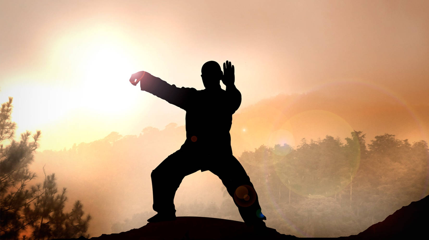 Exercise 桌布 壁紙 — 一位武術家在日出時分於山頂上擺出動態姿勢的剪影，背景有發光的鏡頭光暈和霧氣瀰漫的森林。