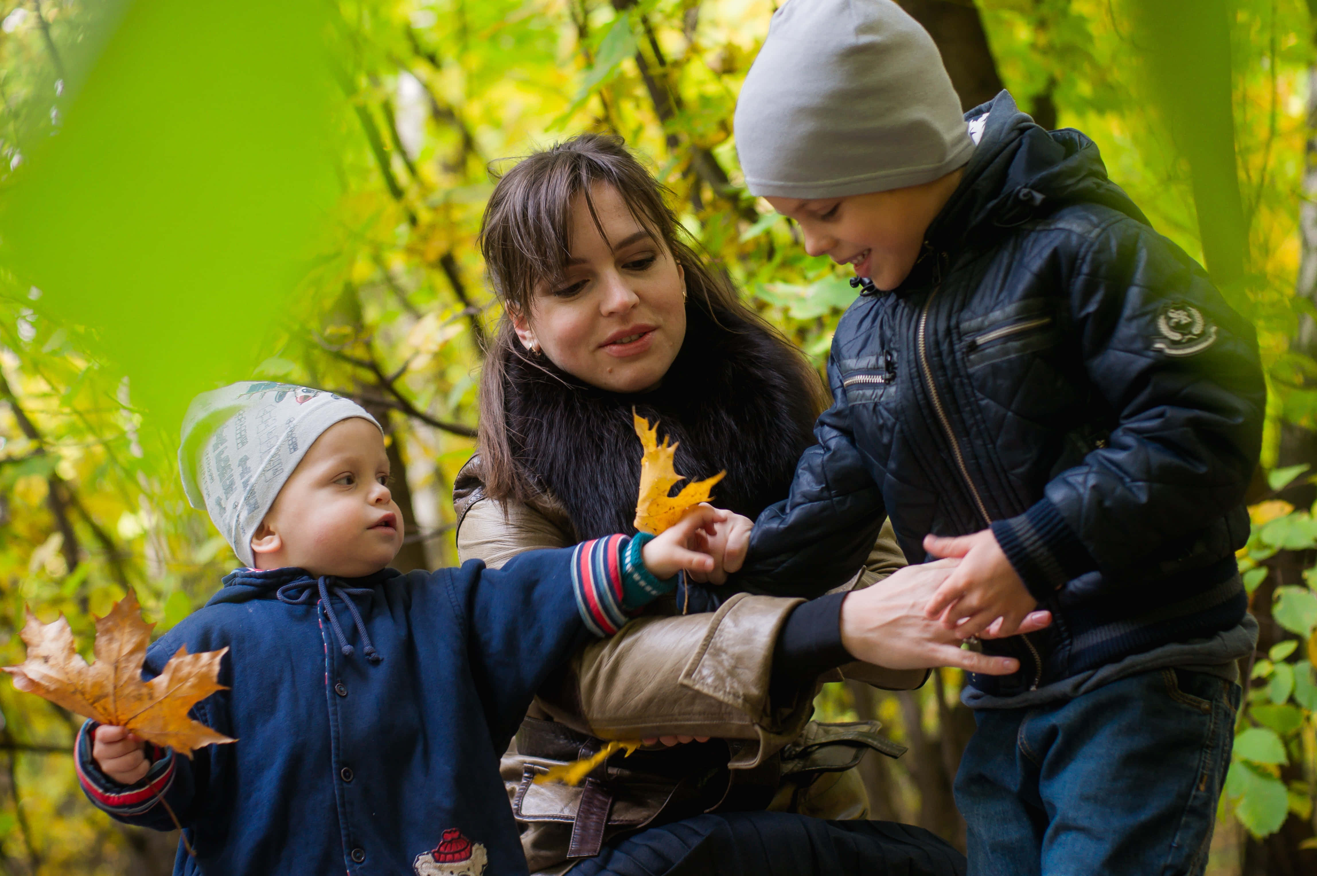 Mom 桌布 壁紙 — 一位母親和兩個孩子在陽光明媚的森林中探索鮮豔的秋葉，分享溫馨的時刻。