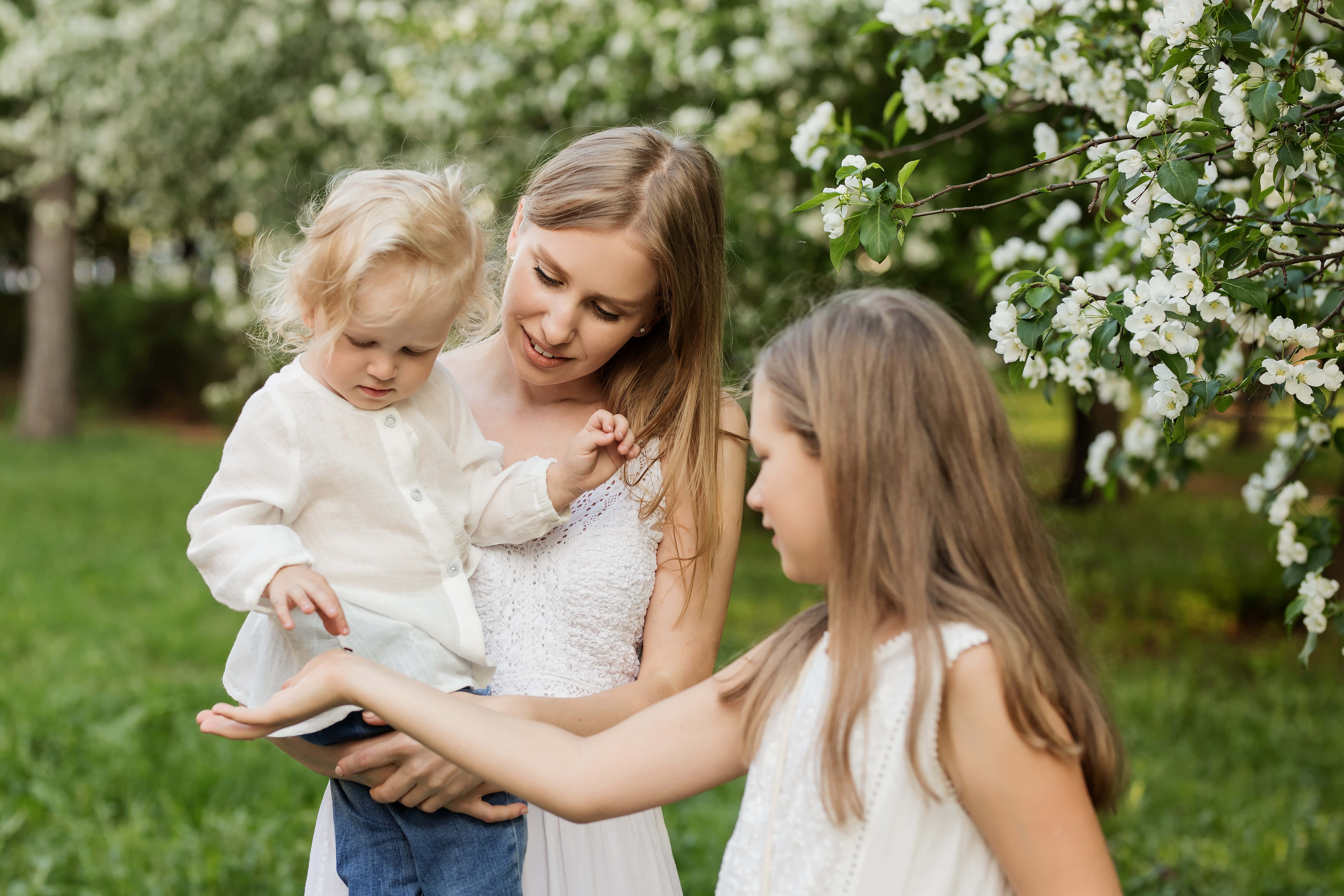 Mom 桌布 壁紙 — 一位母親抱著她的幼兒，而她的大女兒在盛開的白花下輕輕觸摸孩子的手。