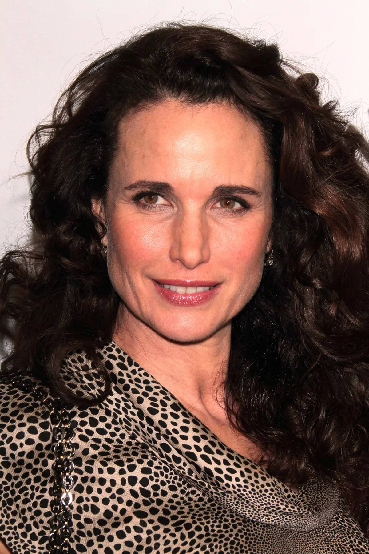 andie macdowell 桌布 壁紙 — 一位深色捲髮、身穿豹紋上衣的女性對著鏡頭微笑的特寫肖像。