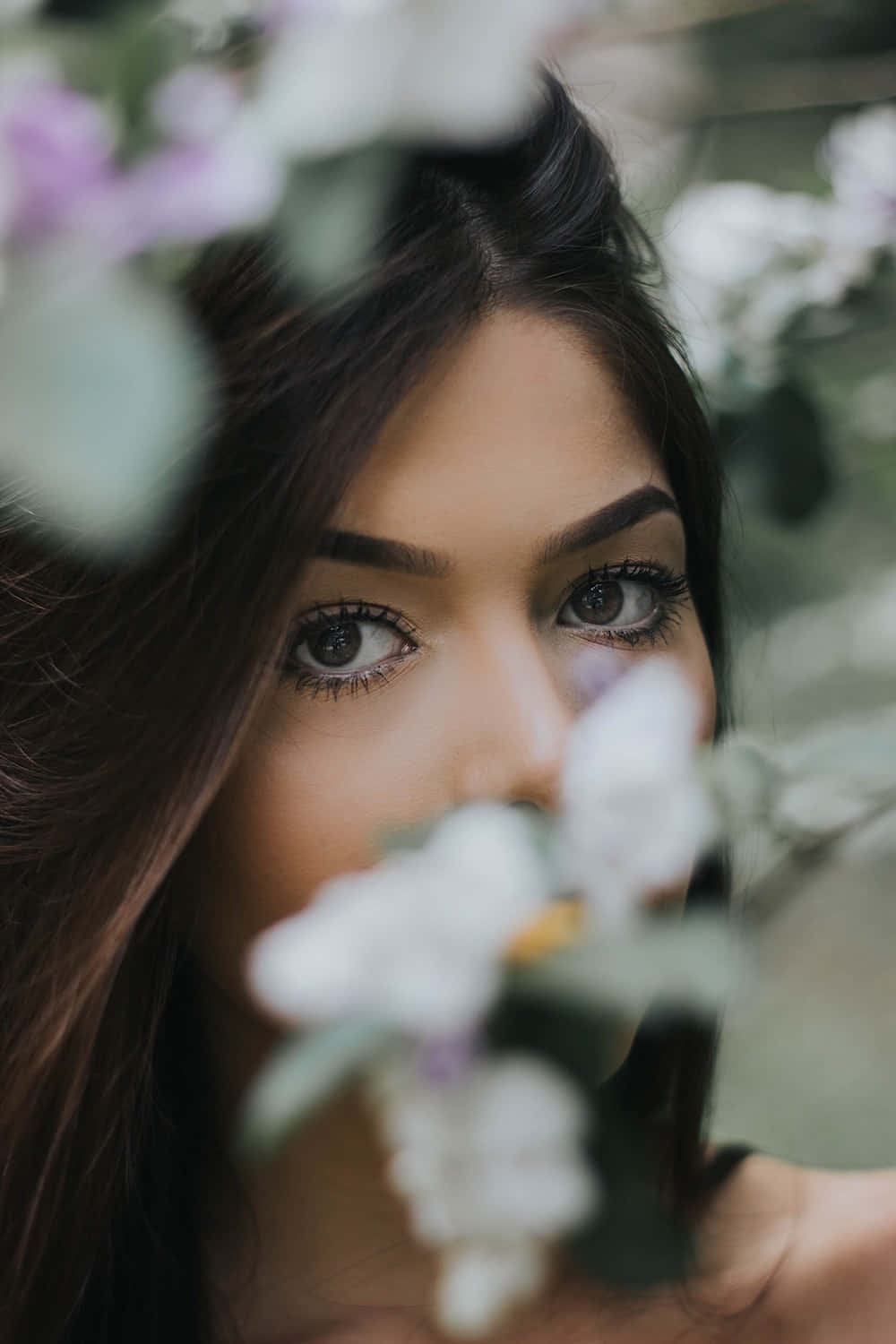 Instagram Profile 桌布 壁紙 — 一位深色眼睛的女性在夢幻般的特寫肖像中，透過柔軟的白色和紫色花朵窺視。