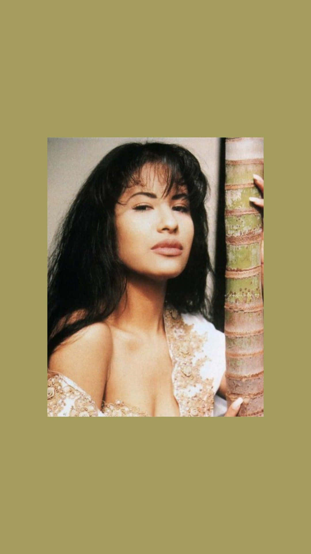 Selena Quintanilla iPhone 桌布 壁紙 — 一位深色頭髮、身穿白色蕾絲上衣的女性，在柔和光線中靠著紋理竹竿。