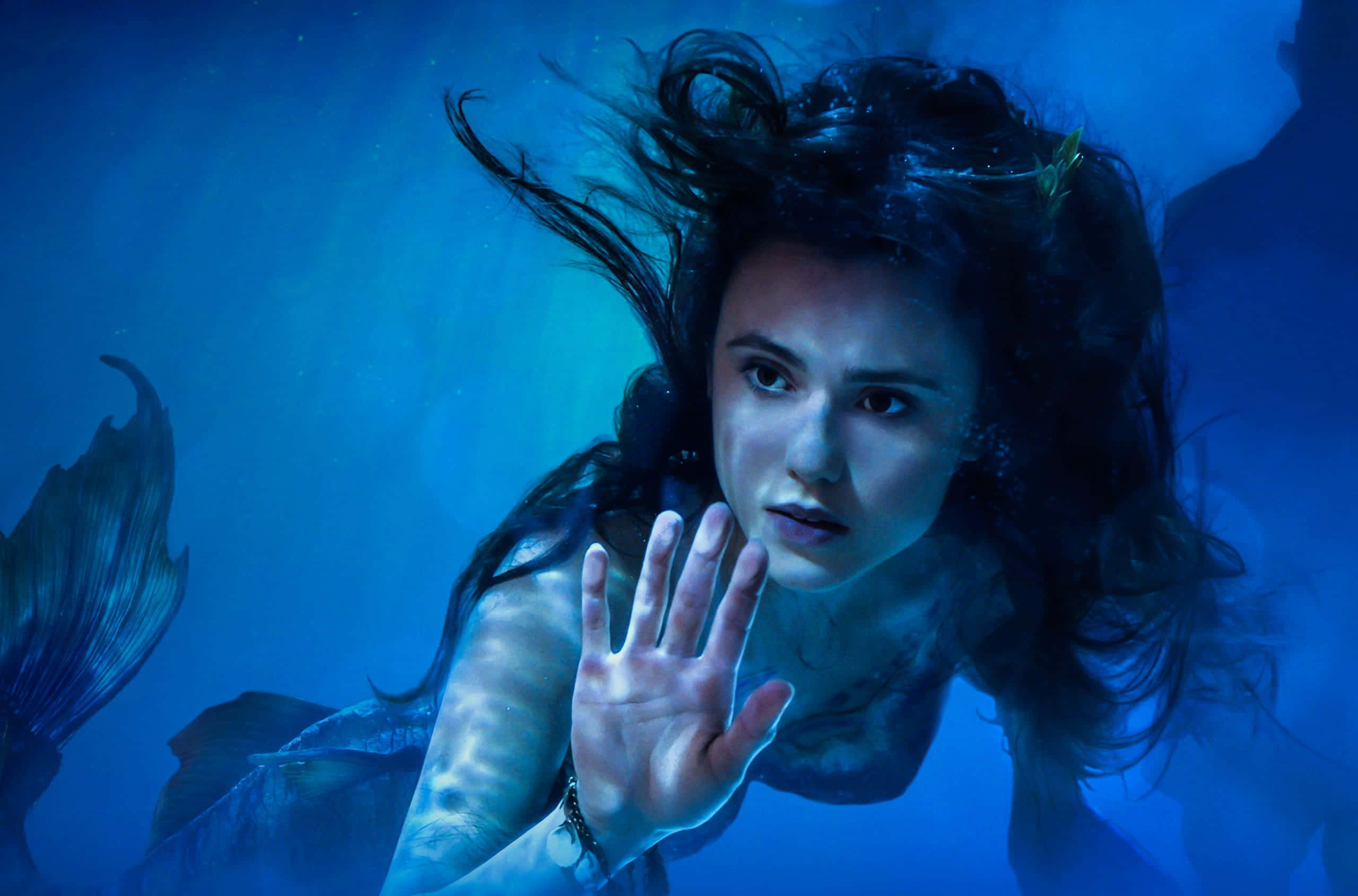 Real Life Mermaid 桌布 壁紙 — 一位深色頭髮和魚尾的美人魚在深藍色海洋中，手向前推，急切地透過水凝視。