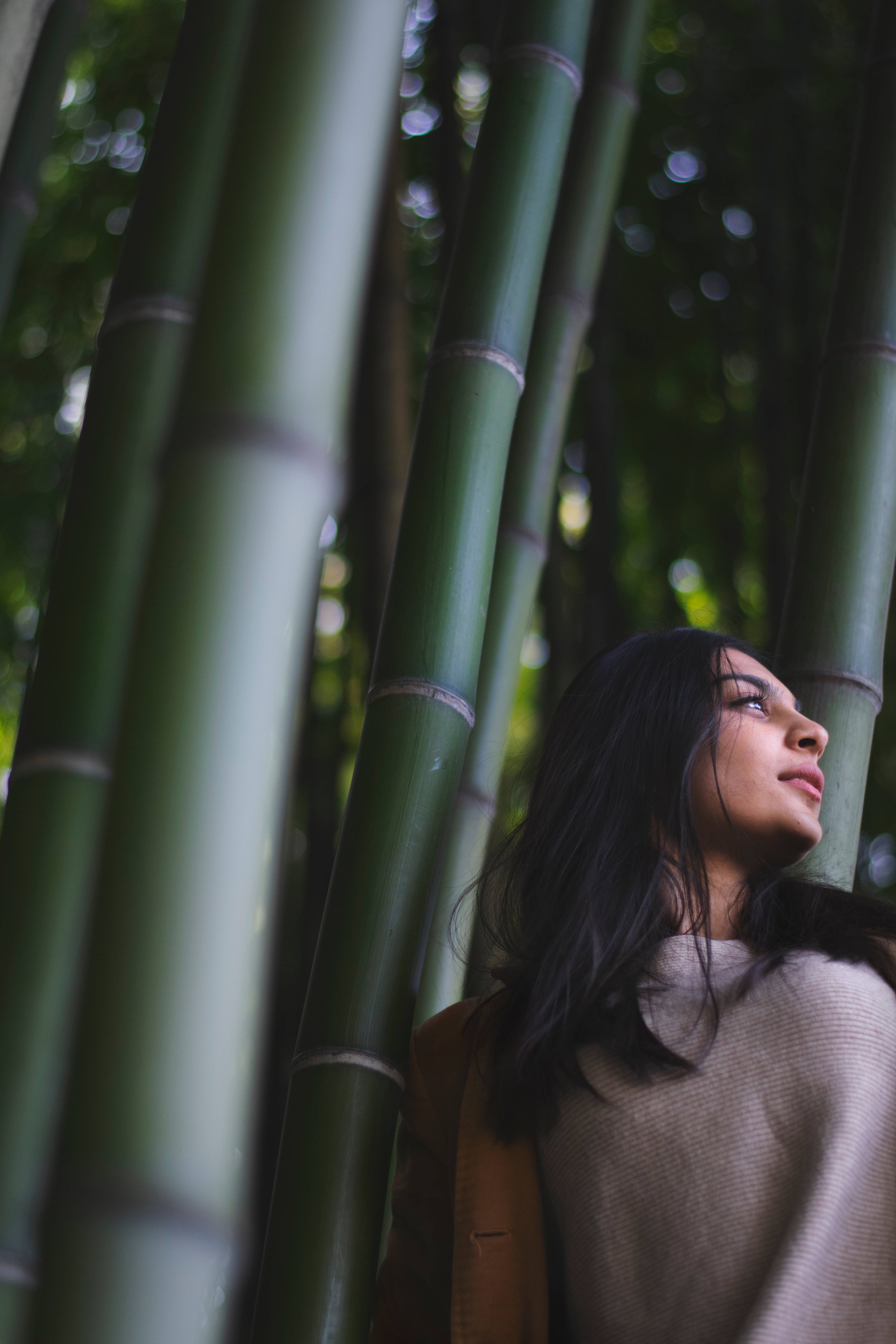 Bamboo 桌布 壁紙 — 一位深色頭髮的女性在寧靜的森林環境中，透過高聳的綠色竹莖向上凝視。