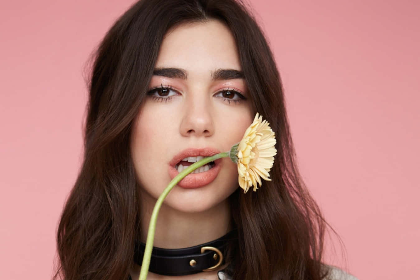 Dua Lipa 桌布 壁紙 — 一位深色頭髮的女性在柔和的粉紅色背景前將一朵黃色花朵靠近嘴唇。