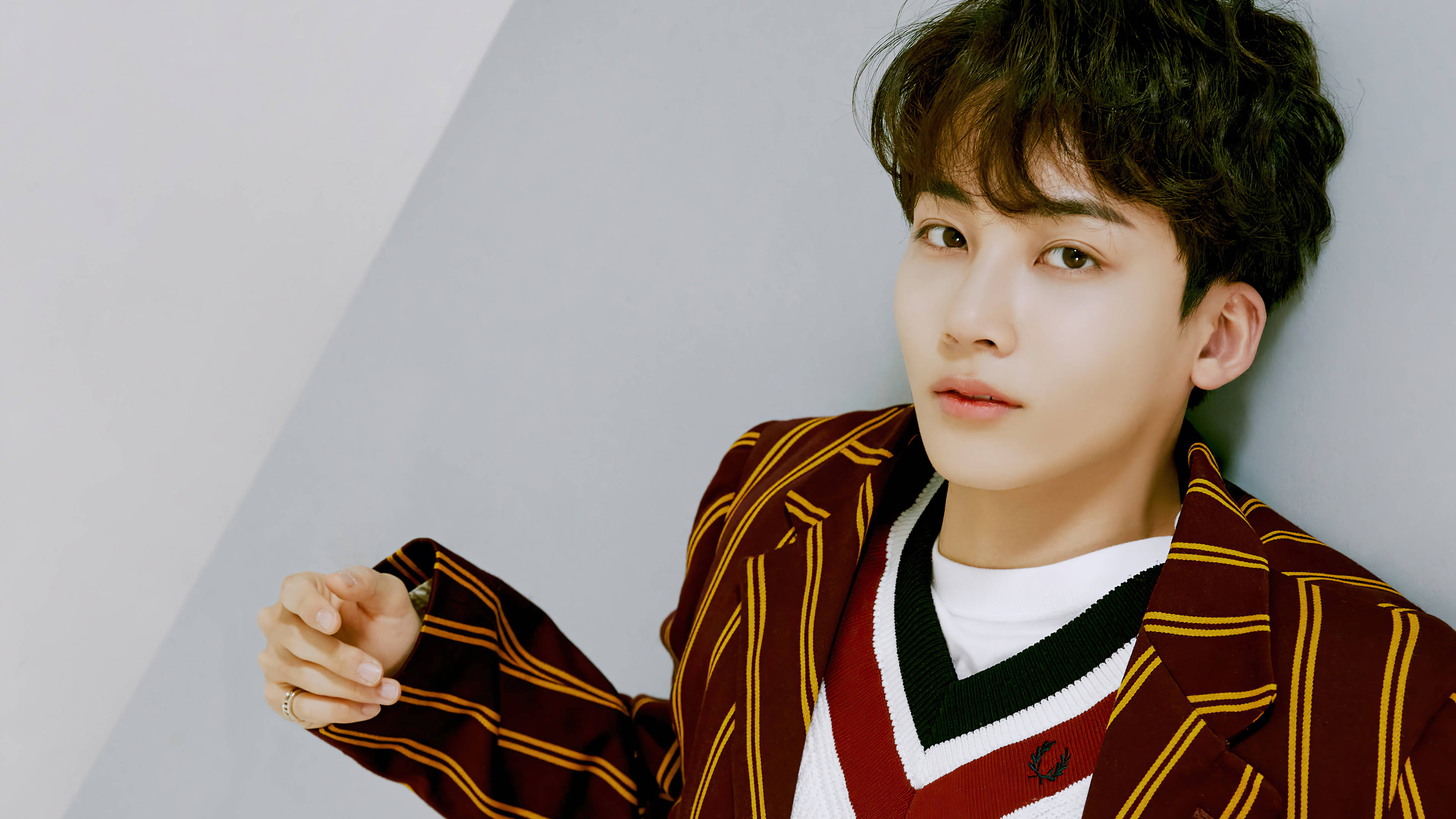 yoon jeonghan 桌布 壁紙 — 一位深色頭髮的年輕男士穿著栗色和金色條紋西裝外套，內搭V領毛衣，背景為簡約灰色。