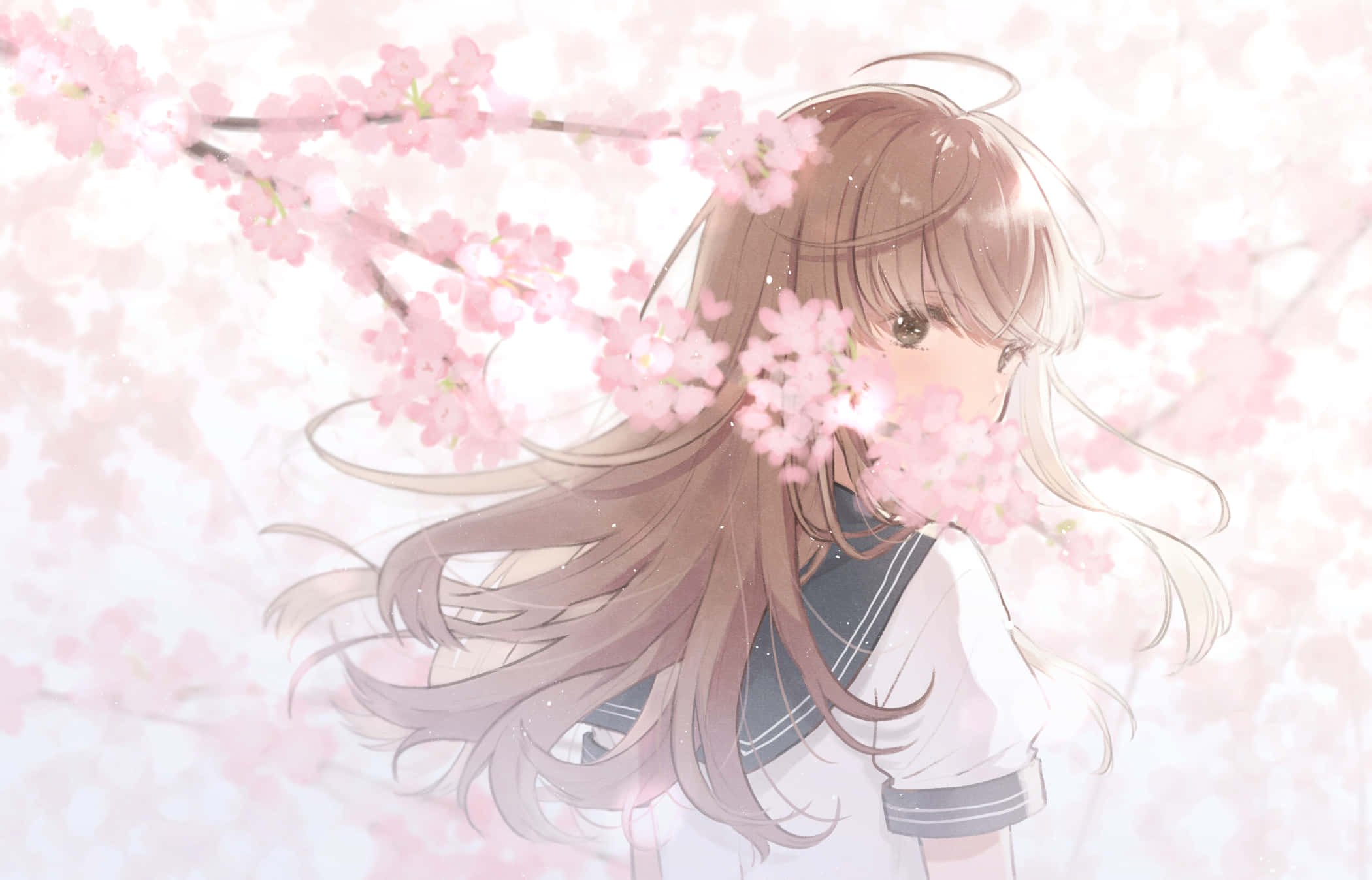Sakura 桌布 壁紙 — 一位溫柔的動漫女孩，長長的棕色頭髮，站在盛開的櫻花樹下，粉紅色花瓣在柔和光線中圍繞她旋轉。