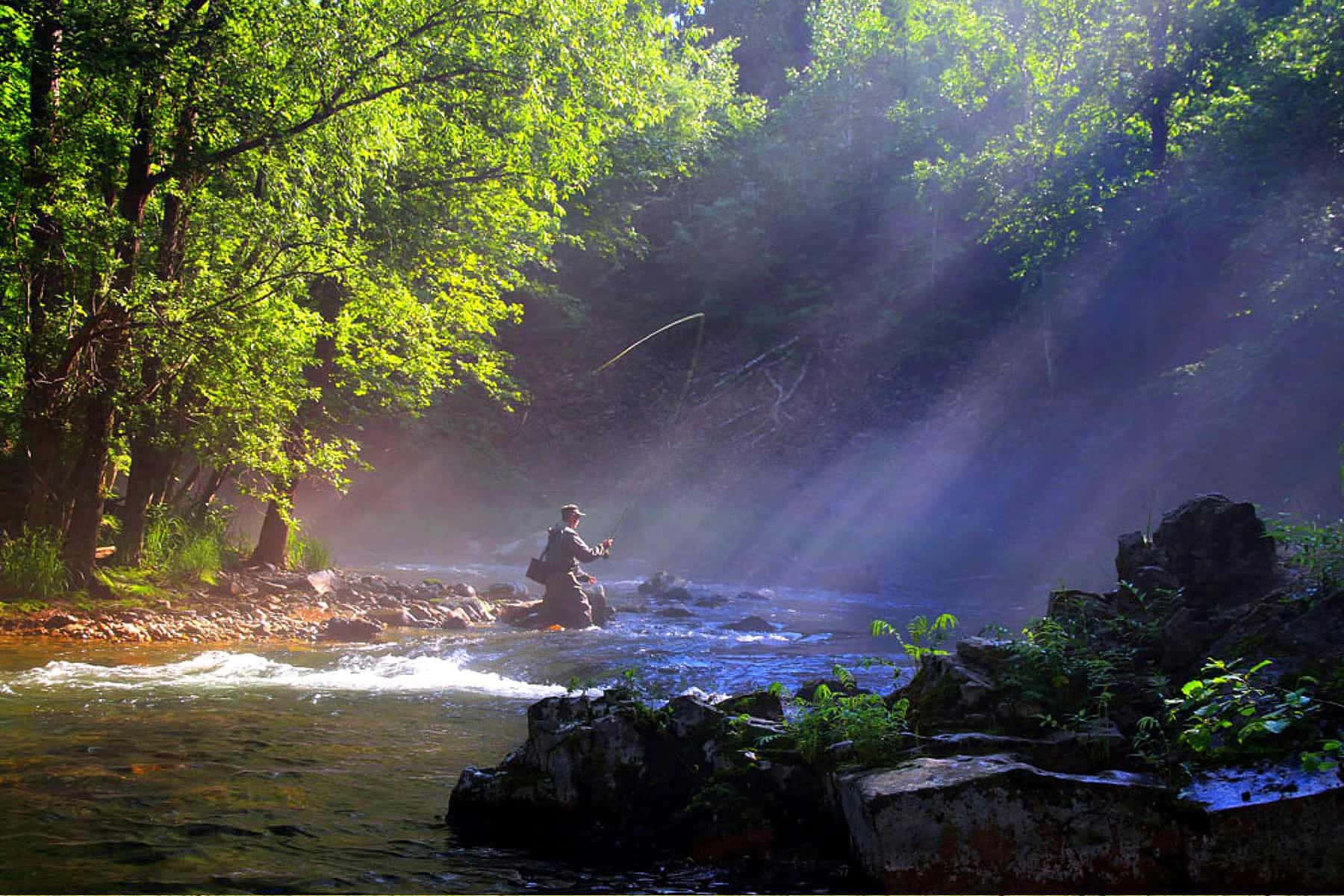 river 桌布 壁紙 — 一位漁夫在陽光明媚的河流中拋線，周圍是茂密的綠樹和霧氣繚繞的光線。