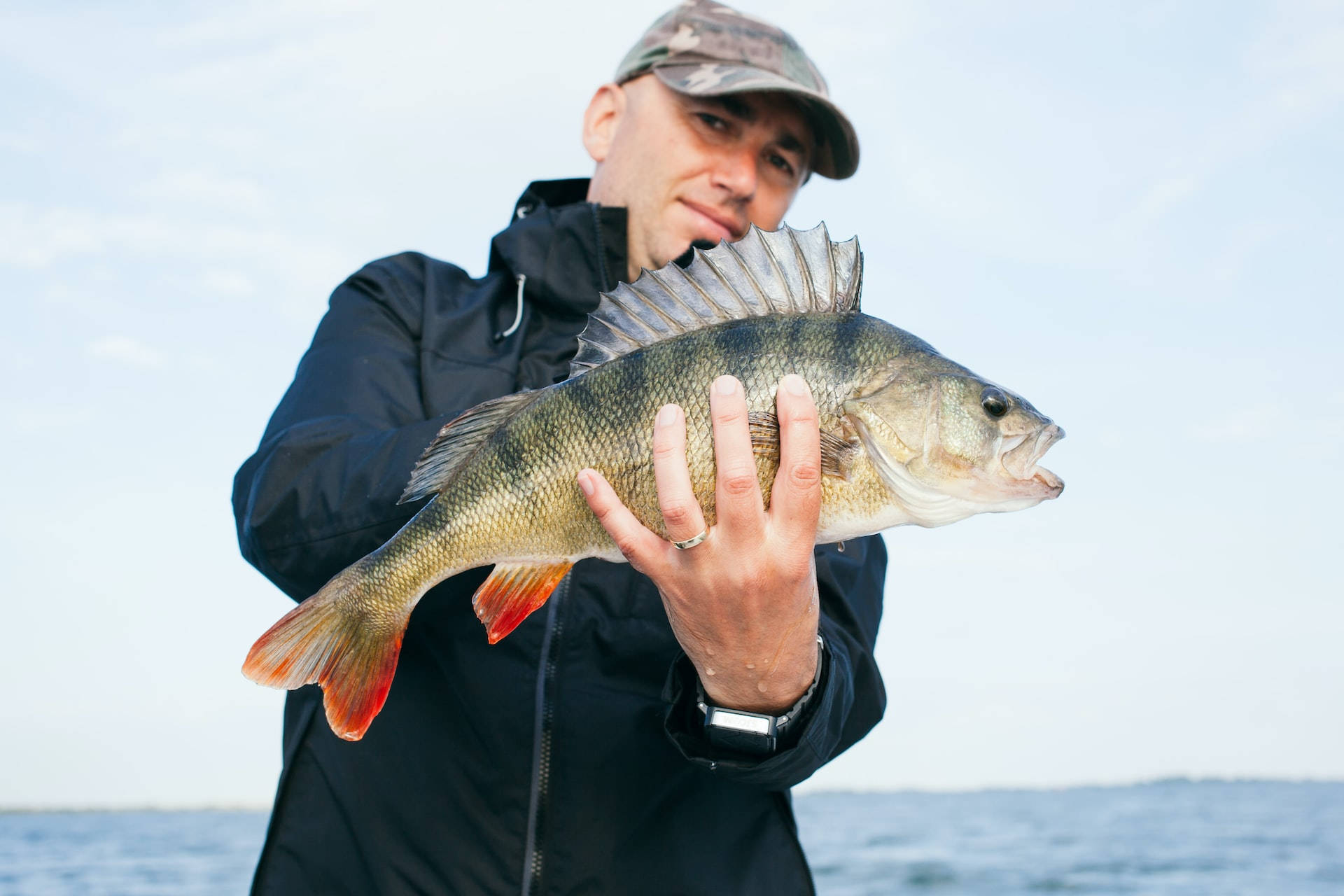 Largemouth Bass 桌布 壁紙 — 一位漁夫自豪地展示一條剛捕獲的鱸魚，魚鰭呈現鮮豔的橙色，背景是平靜的水面。