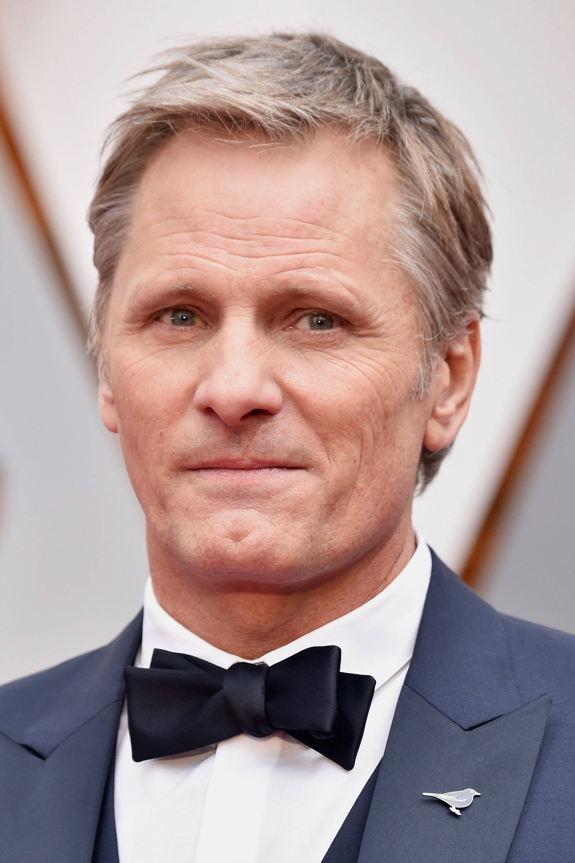 oscars 桌布 壁紙 — 一位灰髮男士在正式活動中穿著海軍藍西裝和黑色領結的特寫肖像。