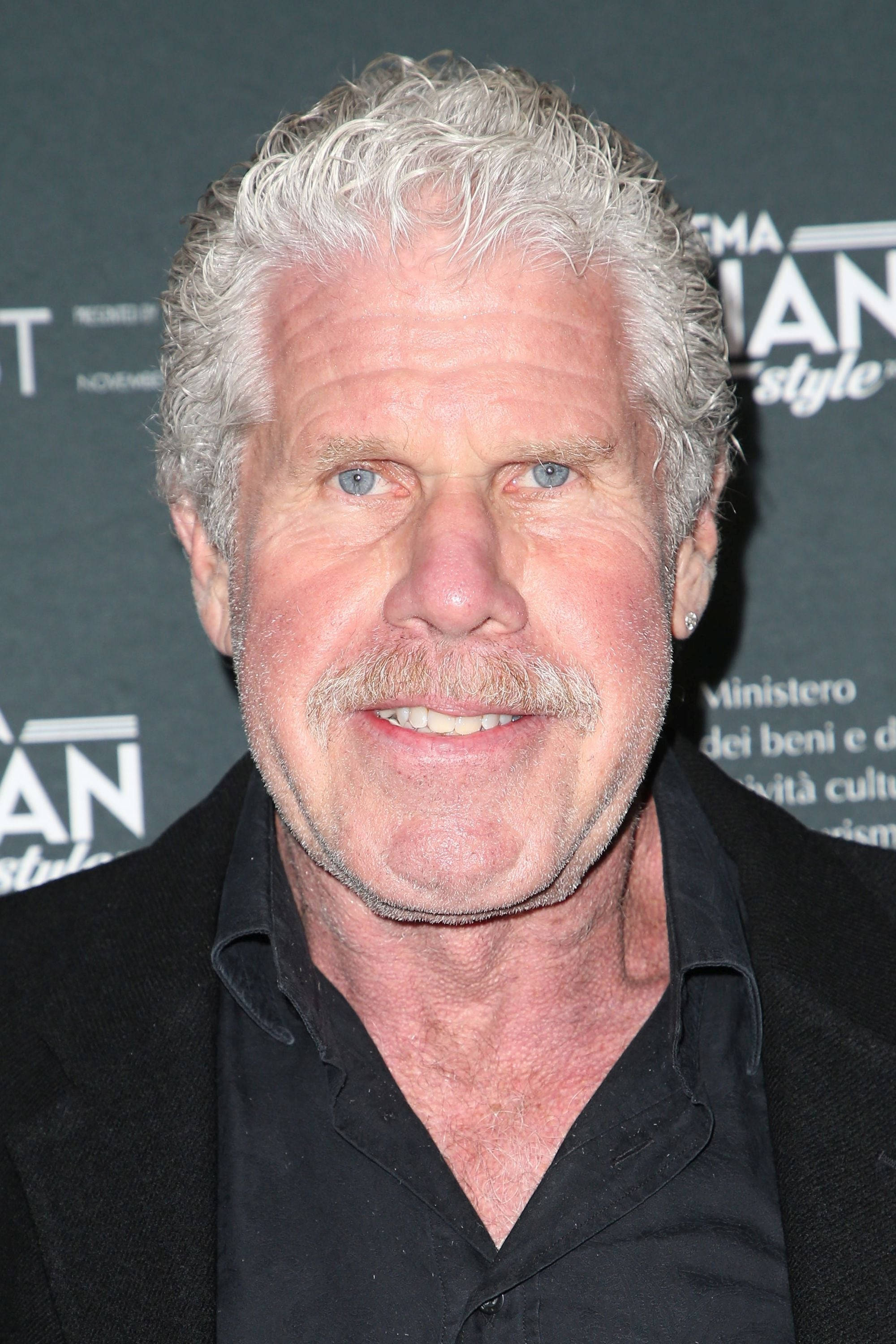 Celebrity 桌布 壁紙 — 一位灰髮留鬍男士的特寫肖像，在深色活動背景下對著鏡頭微笑。