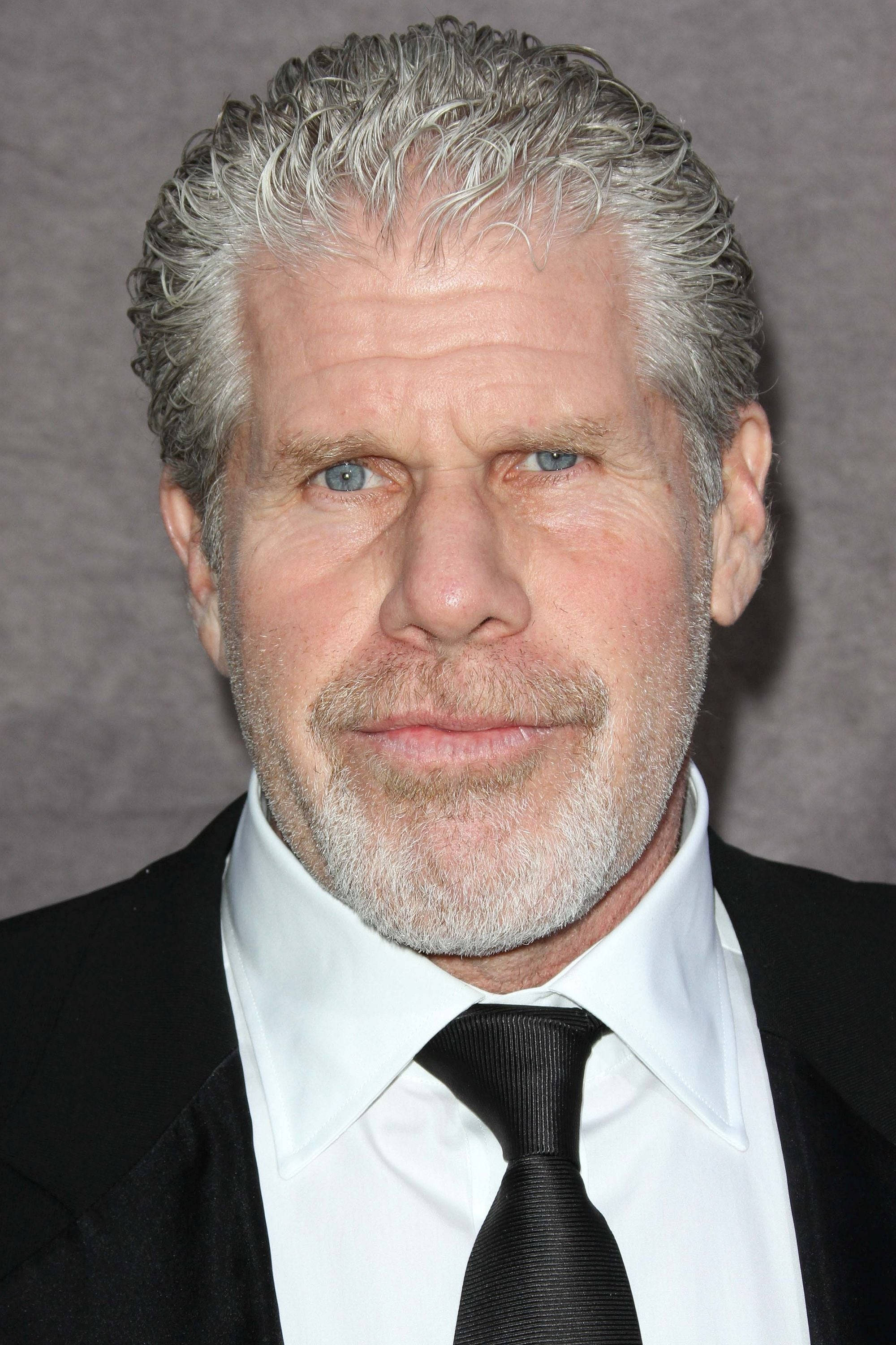 Celebrity 桌布 壁紙 — 一位灰髮藍眼男士穿著黑色西裝打領帶，在灰色中性背景前的特寫肖像。