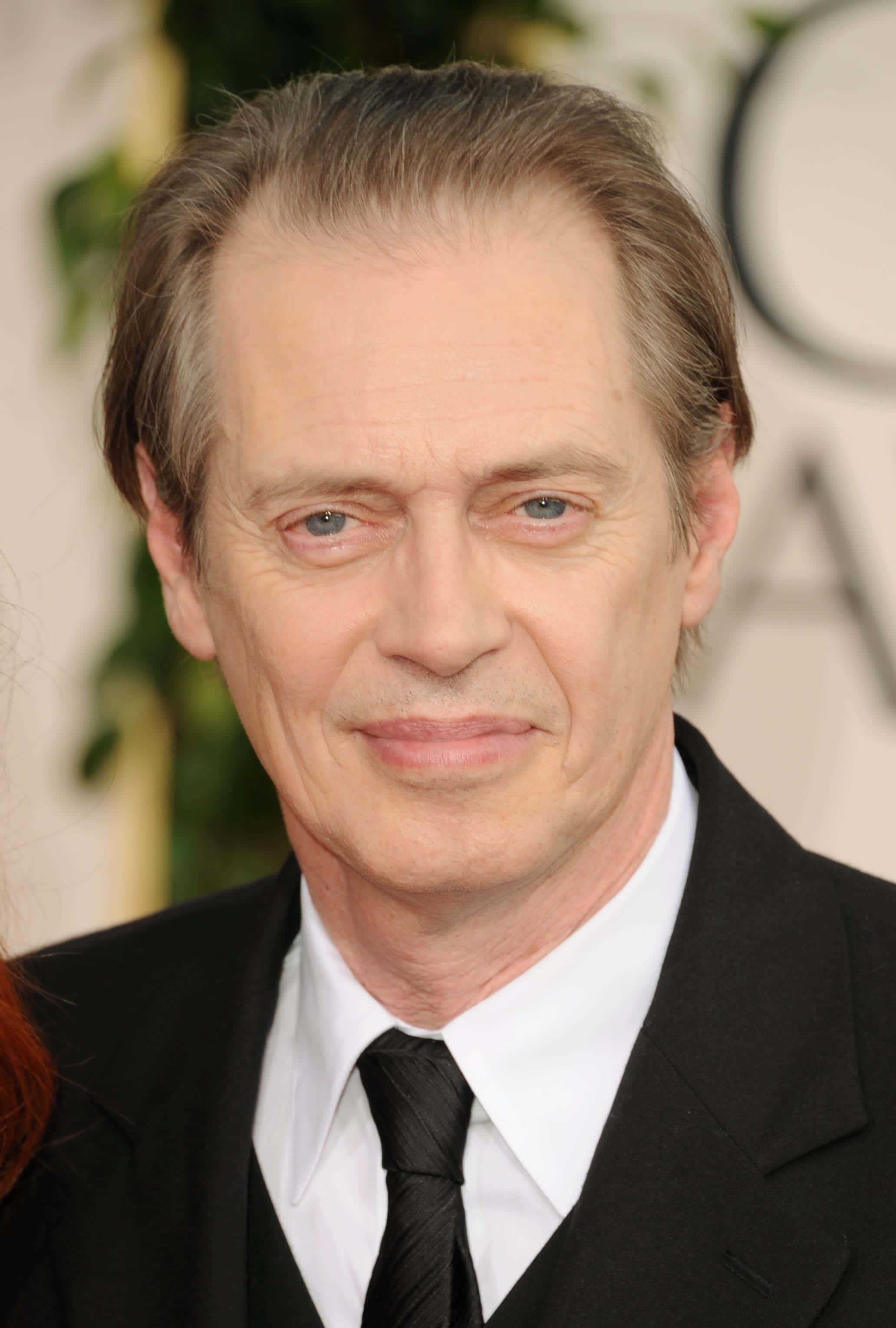 steve buscemi 桌布 壁紙 — 一位灰髮藍眼的男士在正式活動中穿著黑色西裝打領帶的特寫肖像。