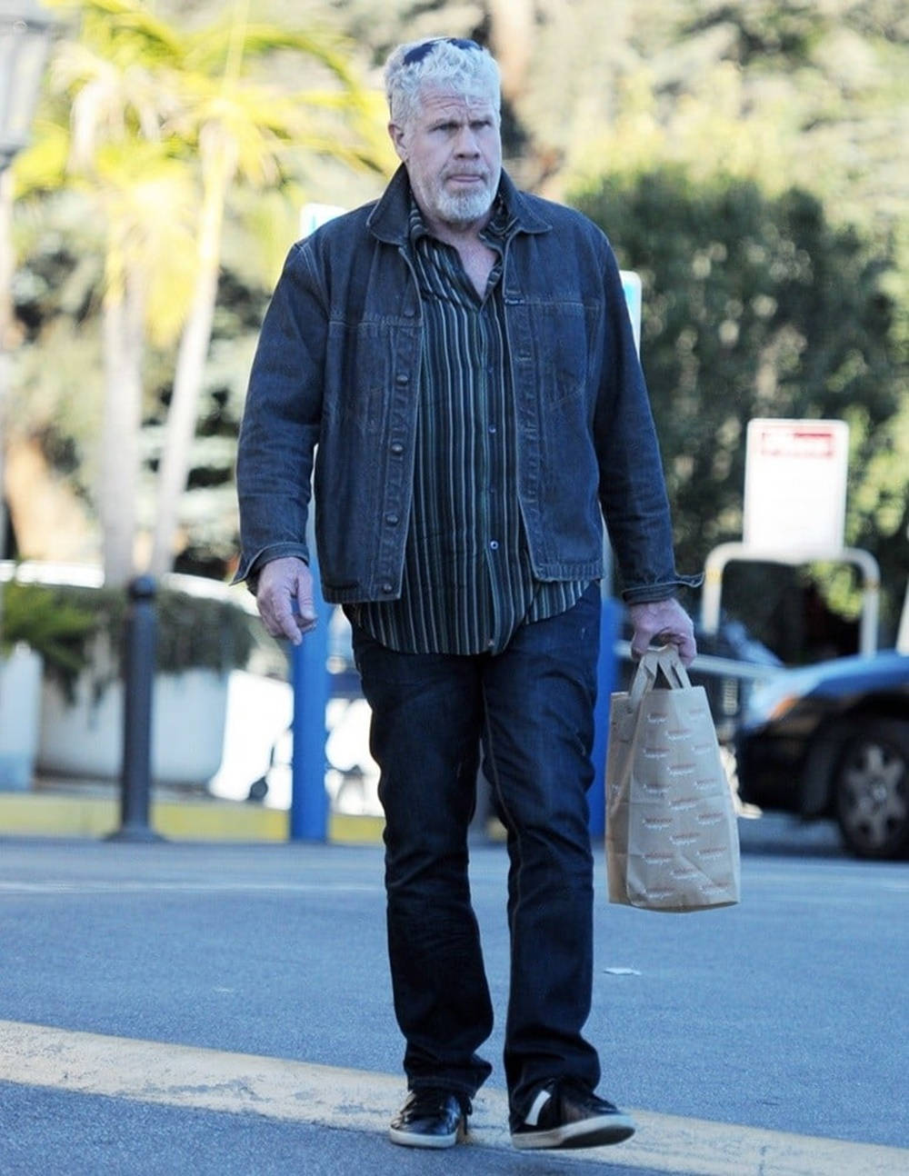 Celebrity 桌布 壁紙 — 一位灰髮鬍鬚的男人在陽光明媚的街道上行走，手提一個紙袋。