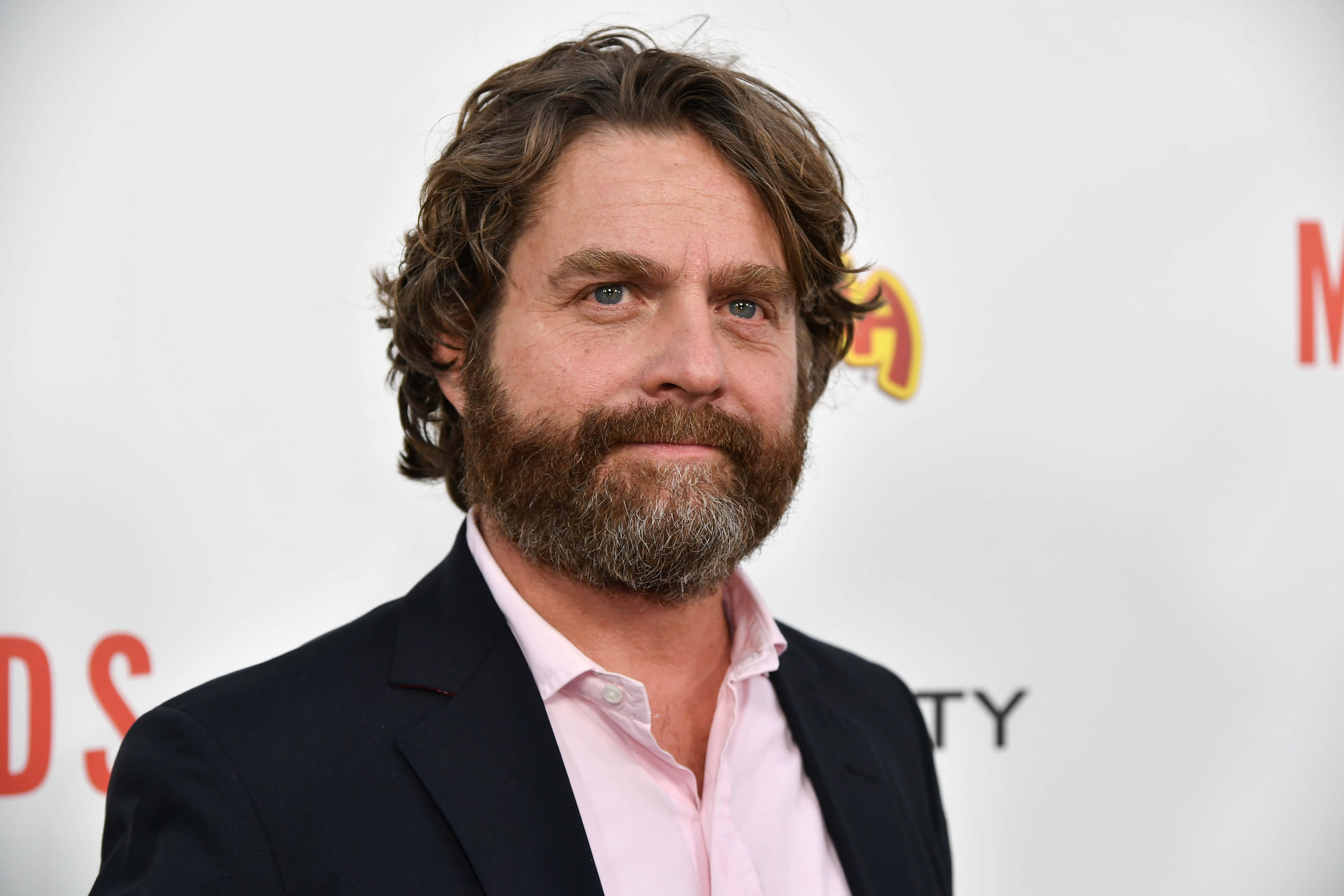 Zach Galifianakis 桌布 壁紙 — 一位留著濃密鬍鬚和波浪髮型的男士，在紅地毯活動中穿著深色西裝，內搭粉紅色襯衫。