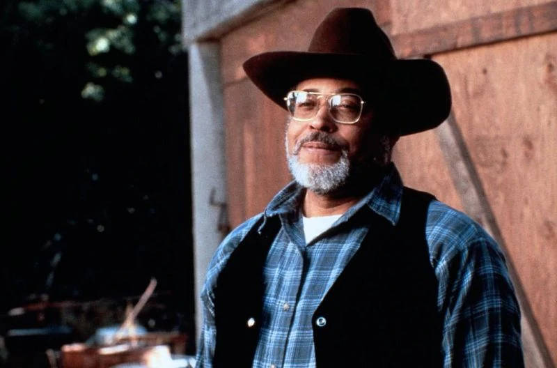 Cowboy 桌布 壁紙 — 一位留著白鬍子、戴眼鏡的男人戴著牛仔帽和格紋襯衫，站在木門前。