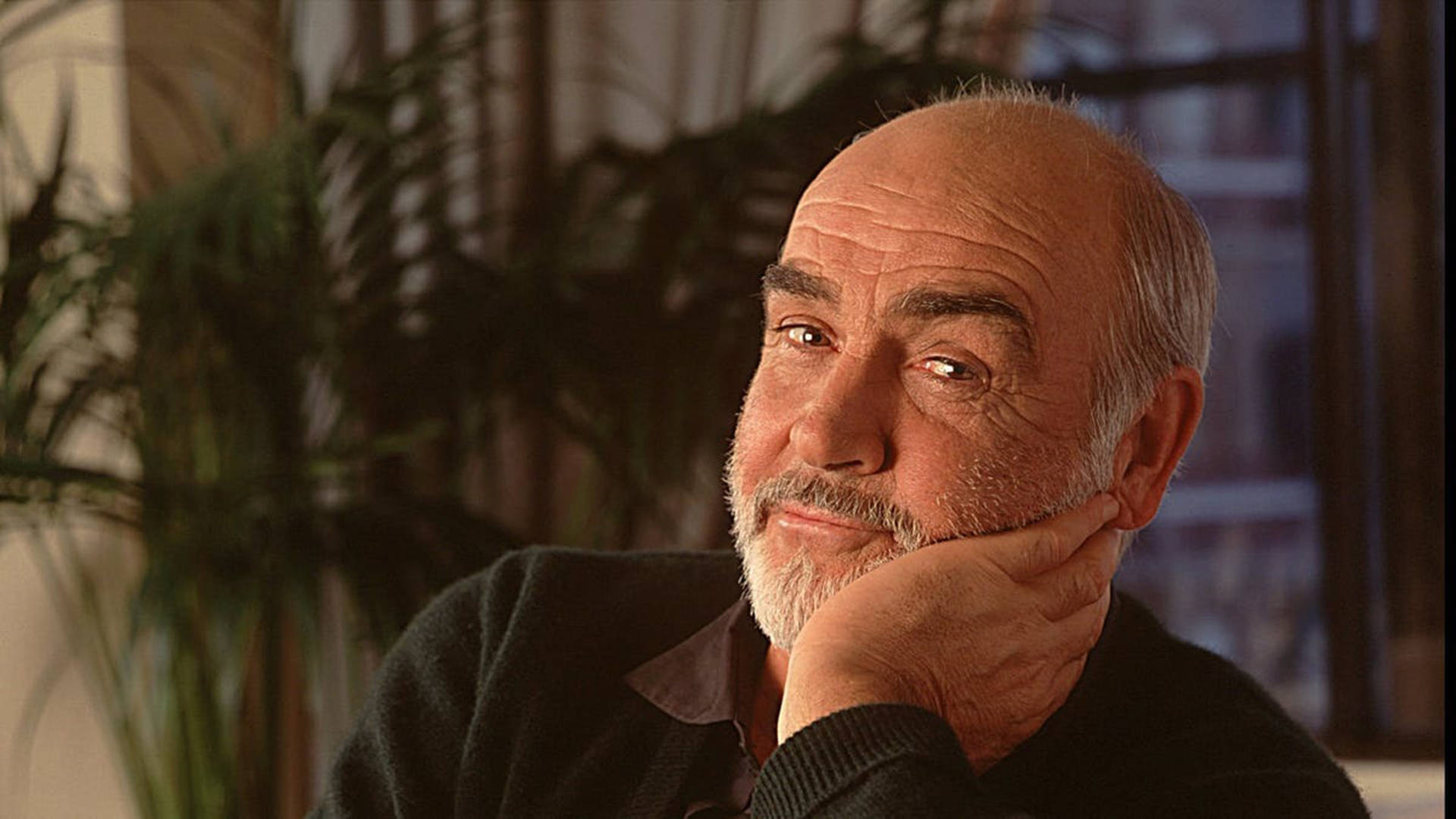 Sean Connery 桌布 壁紙 — 一位留著白鬍子的長者，用手托著下巴，在溫暖的室內環境中沉思地凝視，身後有綠色植物。