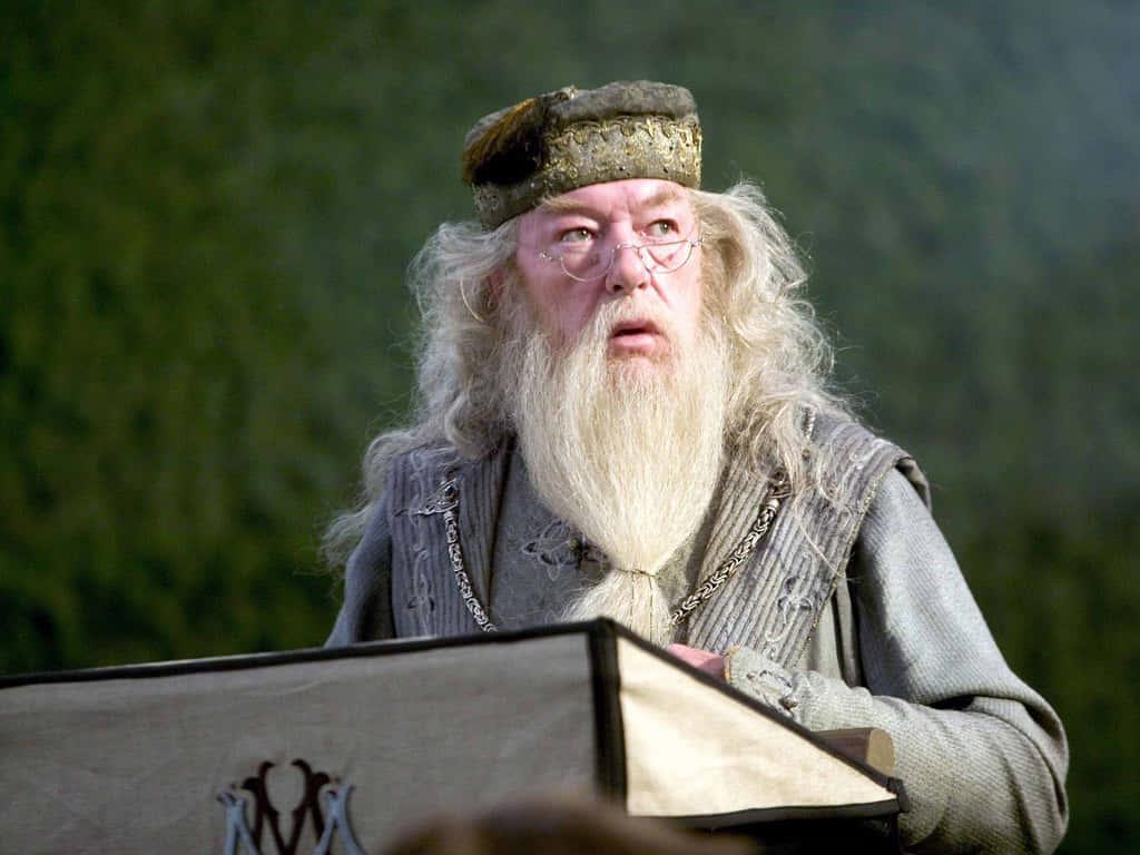 The Hogwarts Professors 桌布 壁紙 — 一位留著長長白鬍子、戴著圓框眼鏡的巫師，站在森林環境中的講台後面。