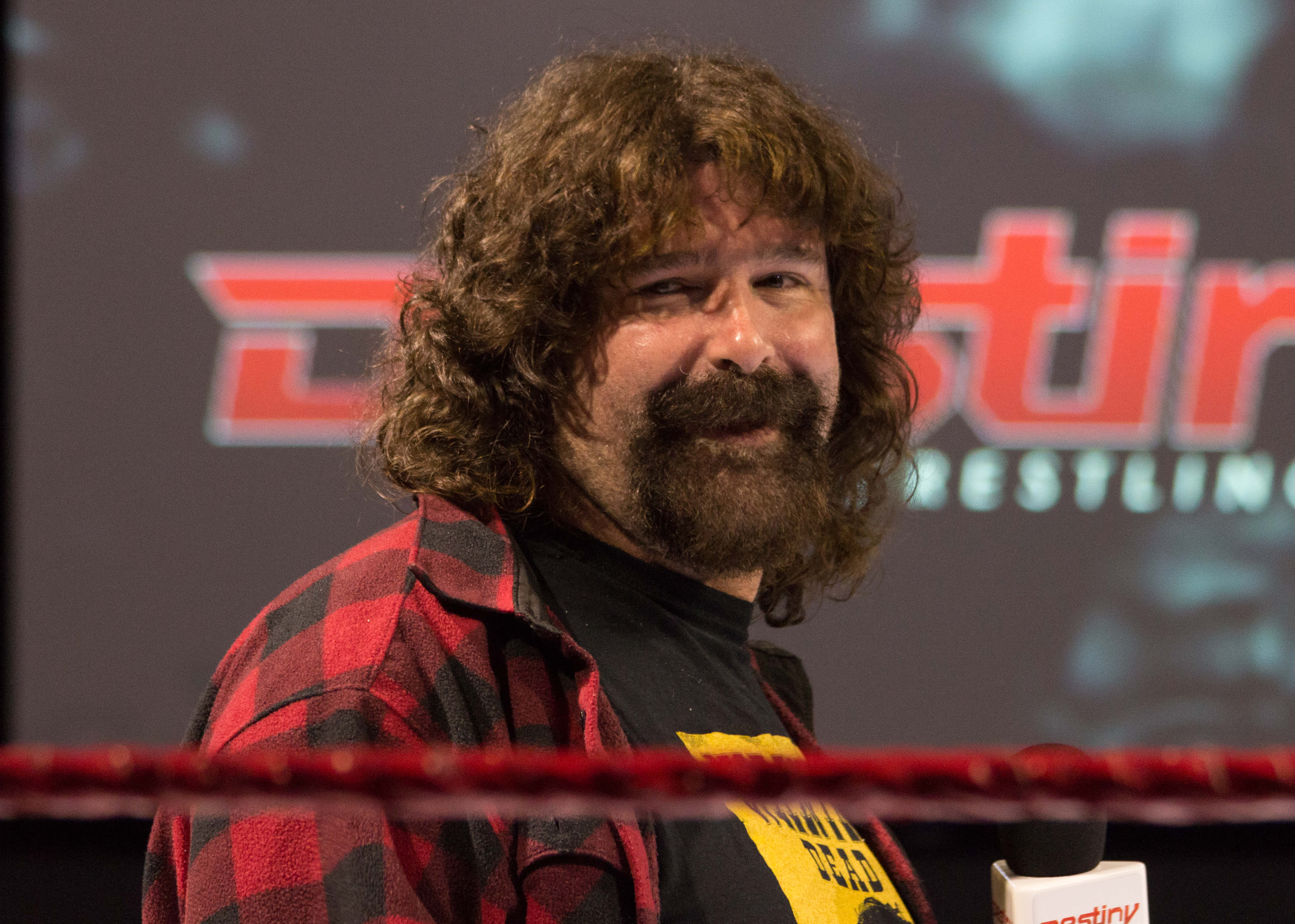 WWE 桌布 壁紙 — 一位留著鬍鬚、捲髮、身穿紅色格紋襯衫的摔角手，站在背後有「Destiny Wrestling」品牌的摔角場內。