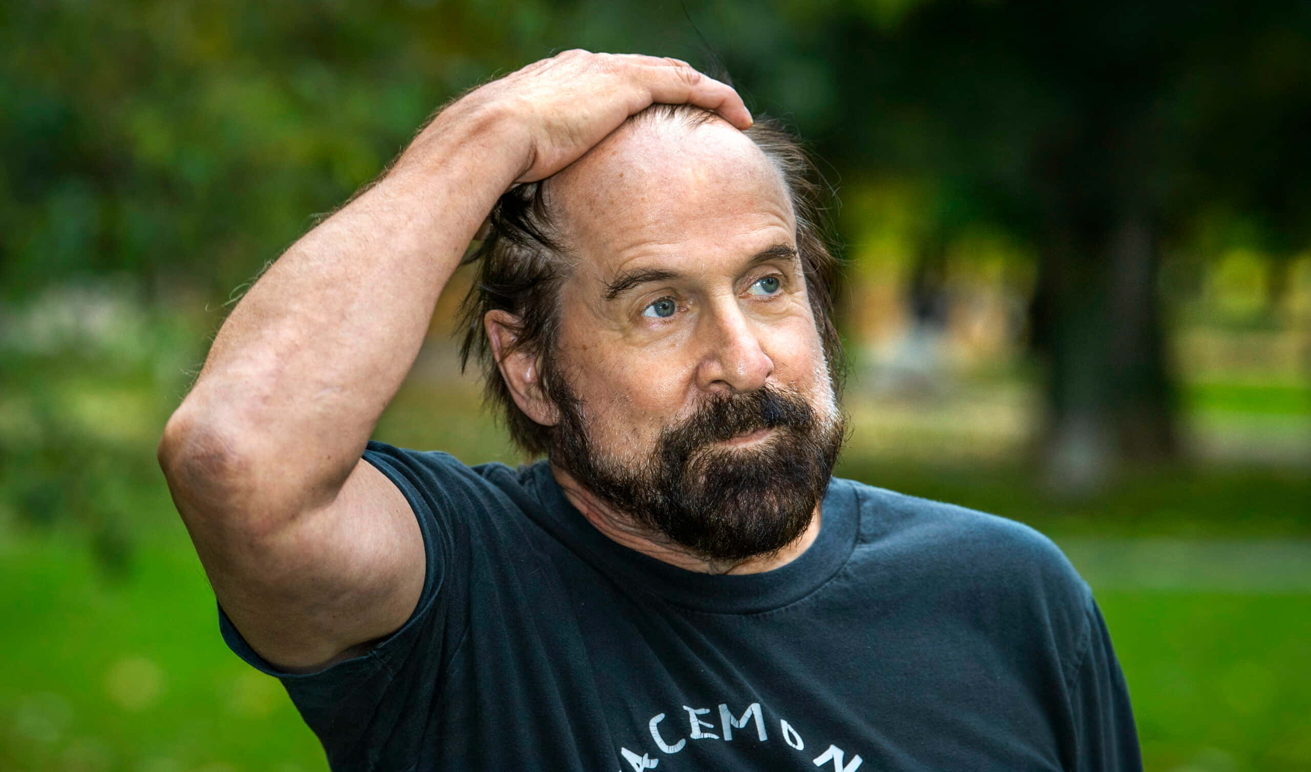 Peter Stormare 桌布 壁紙 — 一位留鬍子、髮際線後退的中年男子在陽光普照的公園裡困惑地抓頭向上看。