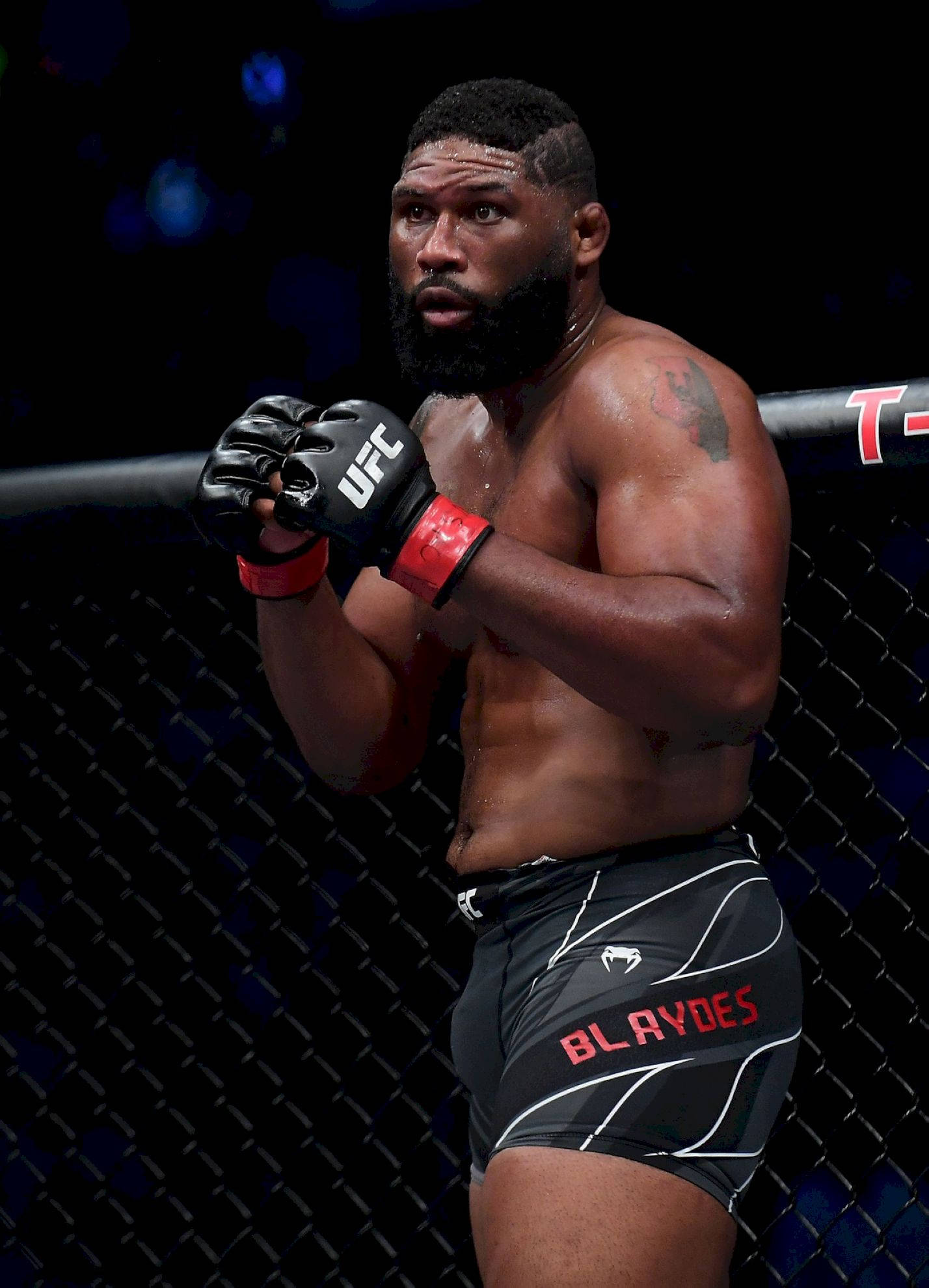 MMA 桌布 壁紙 — 一位留鬍子的肌肉發達戰士在明亮的競技場燈光下，穿著黑色短褲和手套，警覺地站在UFC八角籠中。