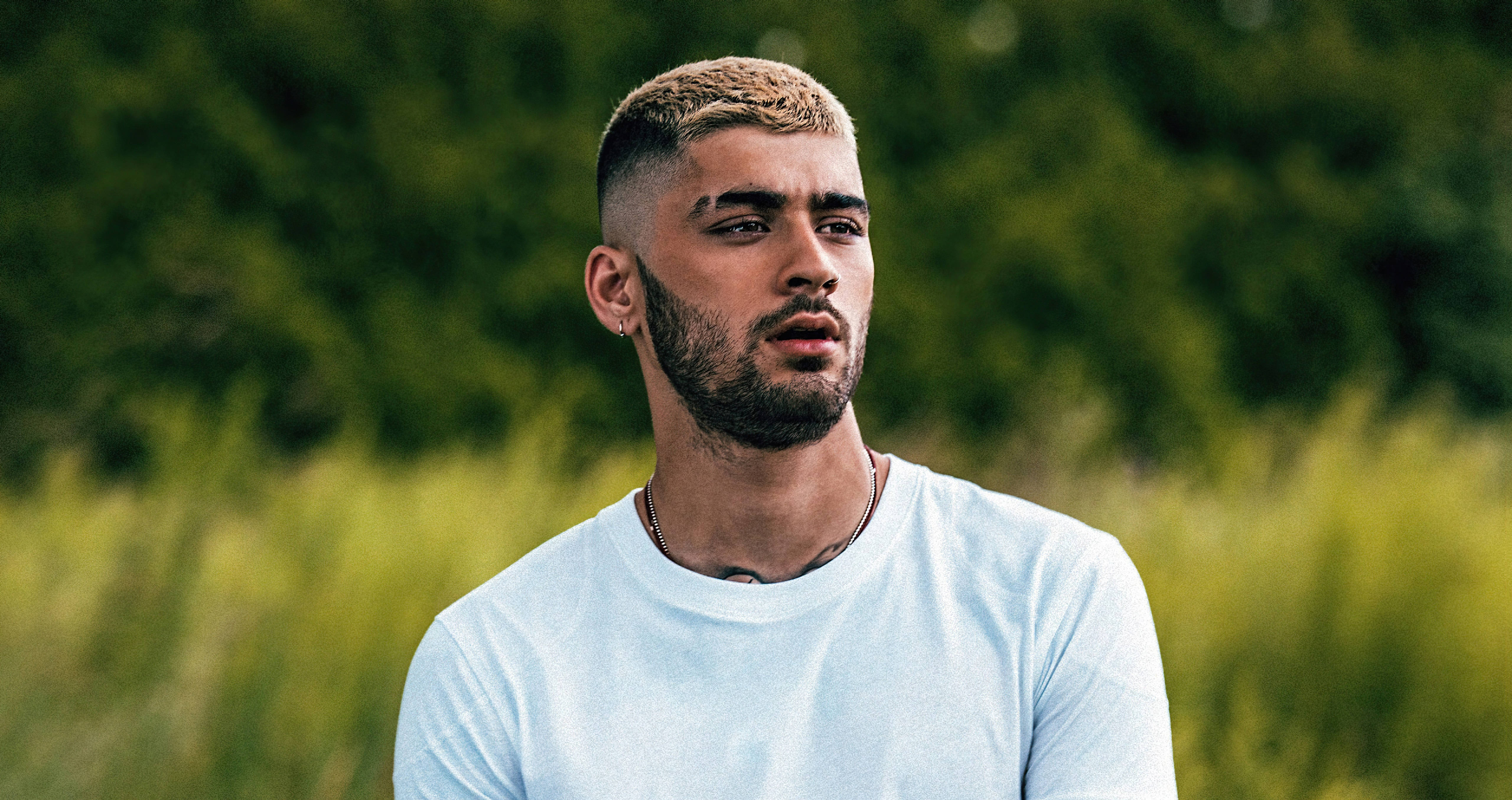 zayn 桌布 壁紙 — 一位留鬍鬚、短髮的年輕男子站在陽光明媚的高草田野中，身後是模糊的綠色樹葉。