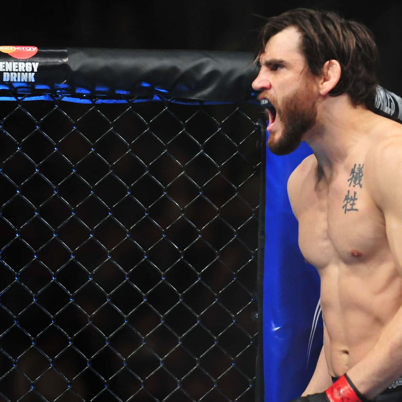 UFC 桌布 壁紙 — 一位留鬍鬚、胸口有刺青的肌肉戰士在明亮的競技場燈光下於MMA籠中咆哮。
