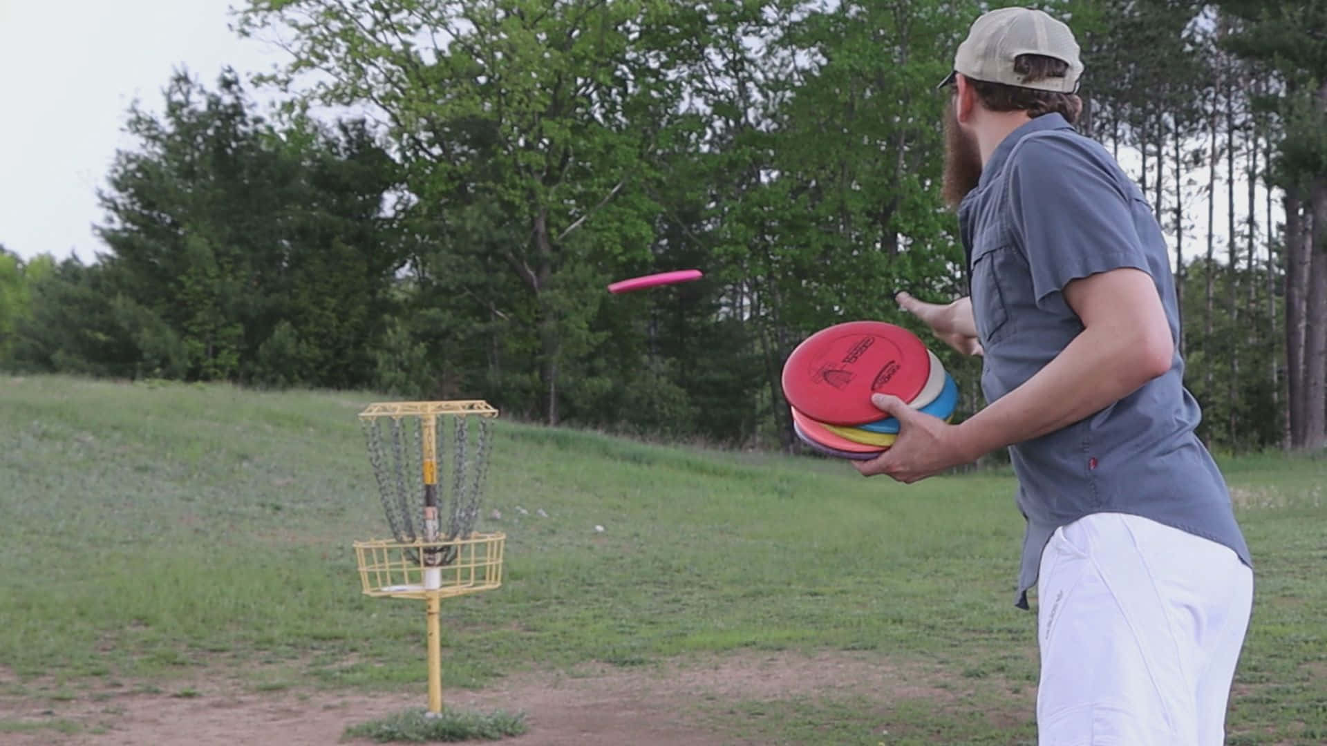 Frisbee 桌布 壁紙 — 一位留鬍鬚戴帽子的男士，在背景有樹木的草地上向黃色飛盤高爾夫籃框投擲粉紅色飛盤。