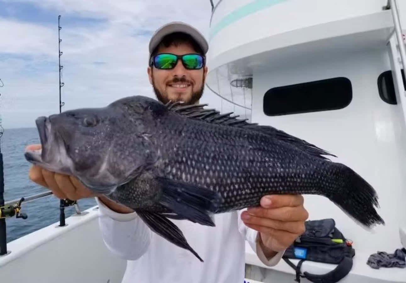 Black Sea Bass 桌布 壁紙 — 一位留鬍鬚的漁夫戴著太陽眼鏡，在白色船上自豪地拿著一條大黑魚，背景是陰雲密布的大海。