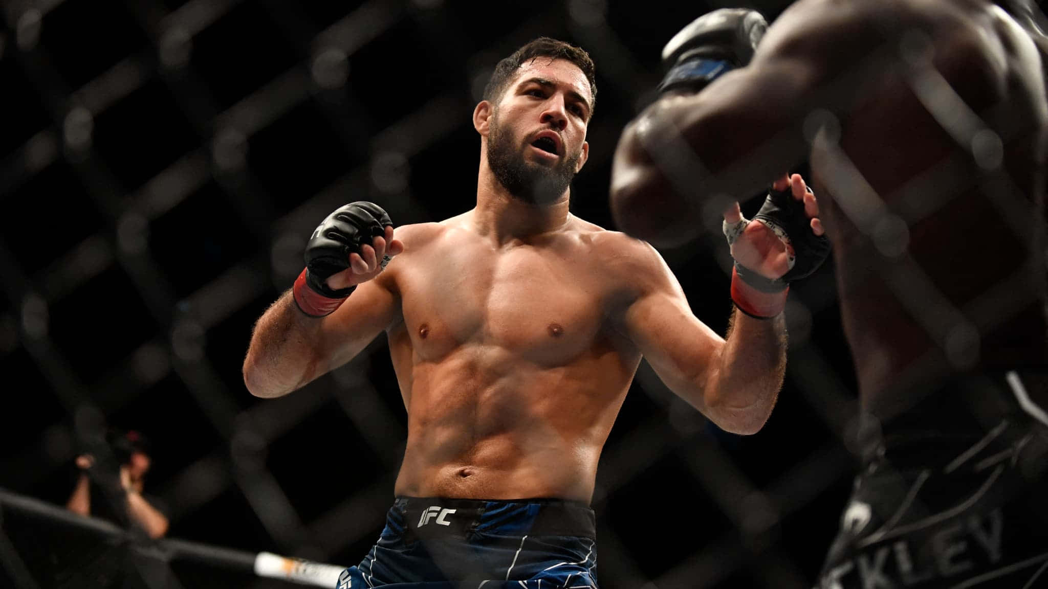 MMA 桌布 壁紙 — 一位留鬍鬚的肌肉發達MMA拳手在昏暗的八角籠內戰鬥時勝利地呼喊。