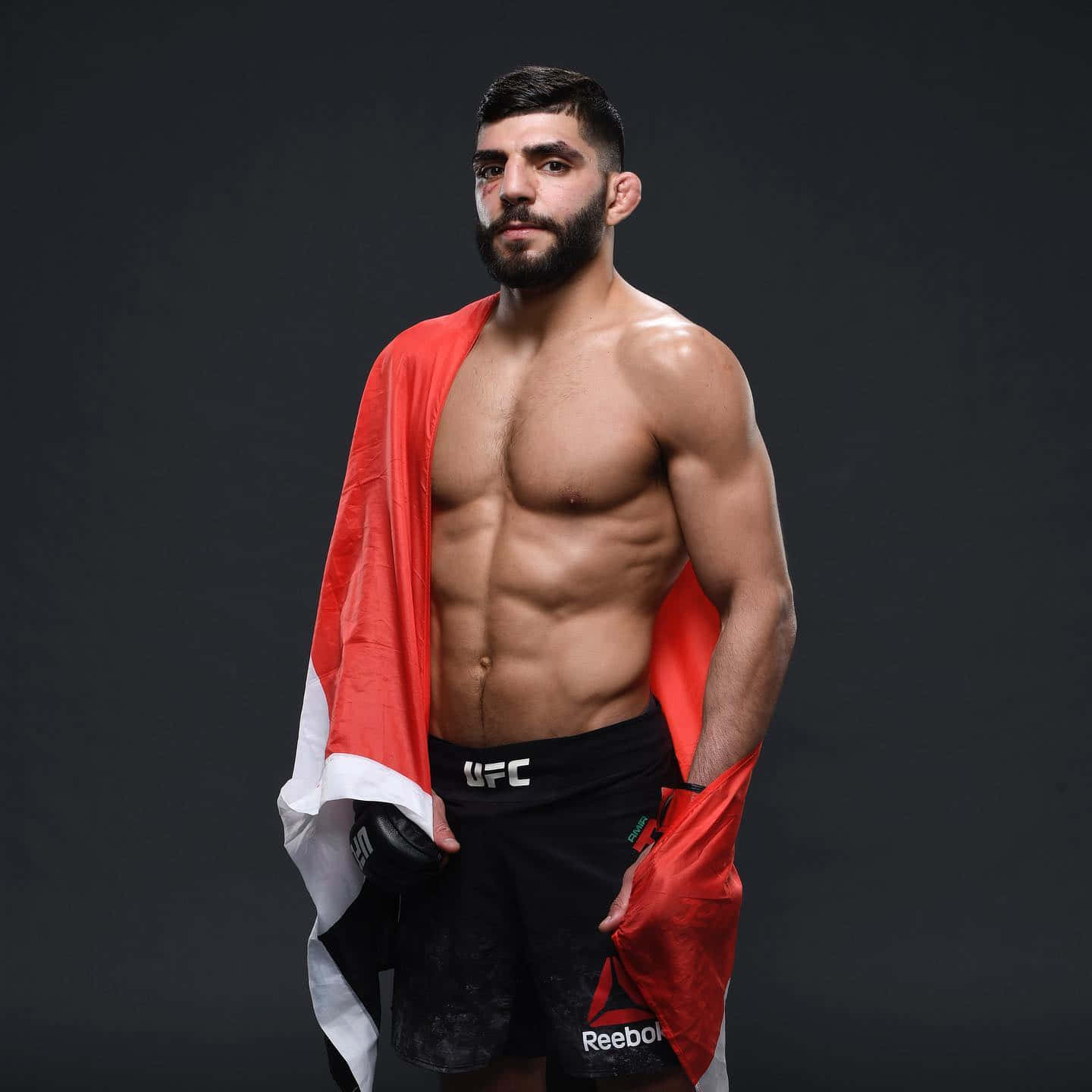UFC 桌布 壁紙 — 一位留鬍鬚的肌肉發達UFC拳手，自信地披著紅白黑旗，站在深色工作室背景前。