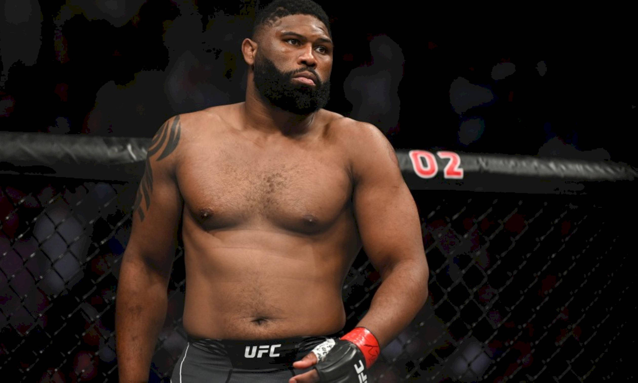 UFC 桌布 壁紙 — 一位留鬍鬚的肌肉發達UFC拳手，身穿黑色短褲和紅色手套，站在八角籠內。