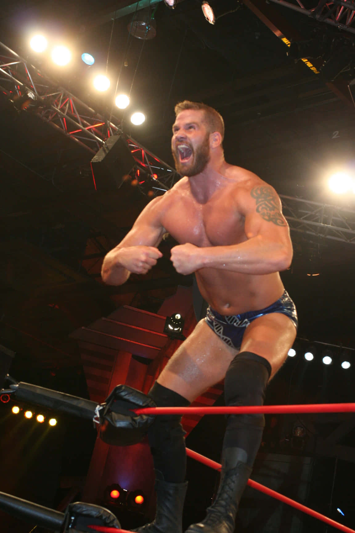 WWE 桌布 壁紙 — 一位留鬍鬚的肌肉發達摔角手在明亮的舞台燈光下，從擂台繩索上發出勝利的咆哮。