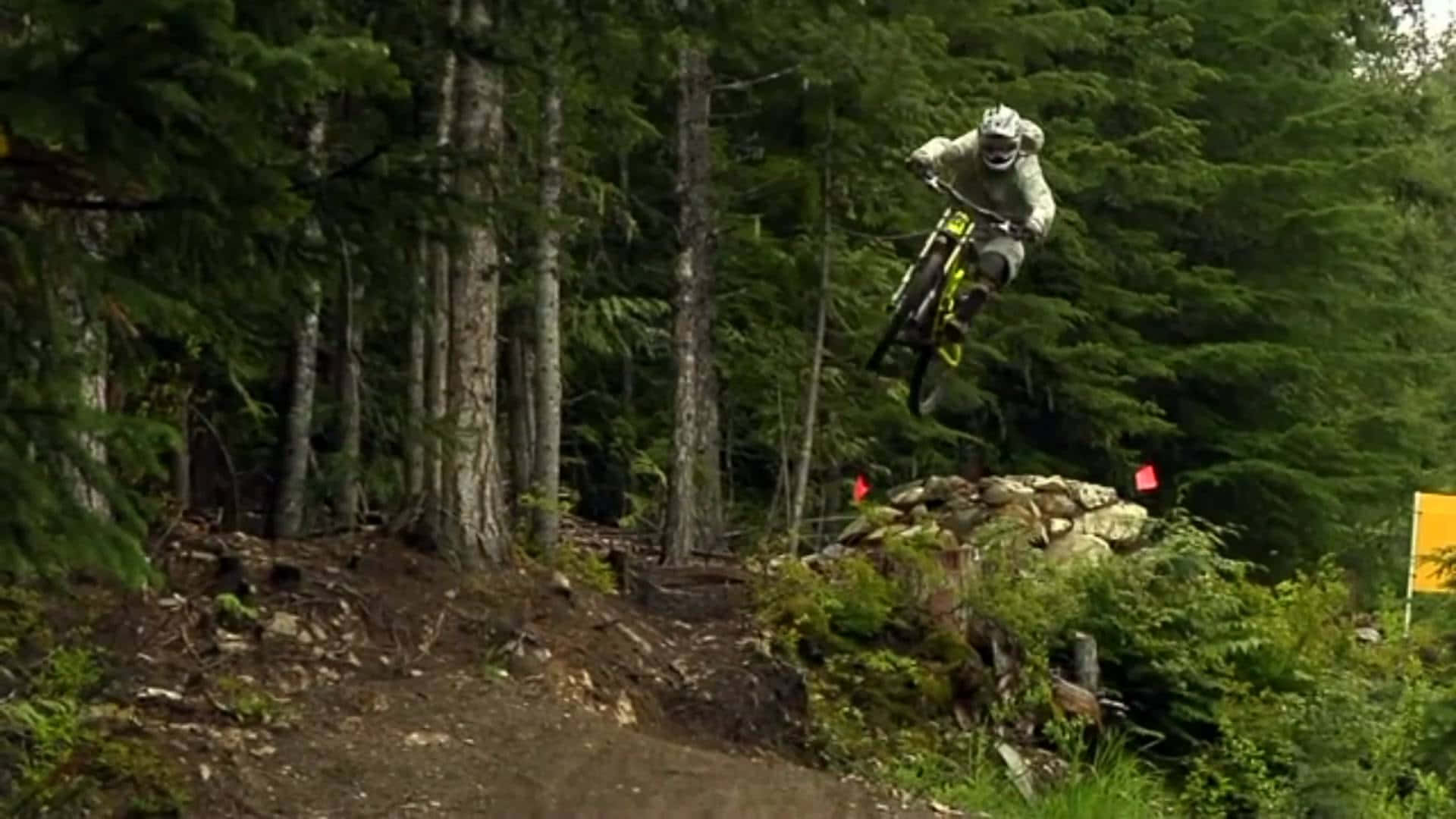 Mtb 桌布 壁紙 — 一位登山自行車手在森林小徑上空飛翔，周圍是高聳的常綠樹木和長滿苔蘚的岩石。